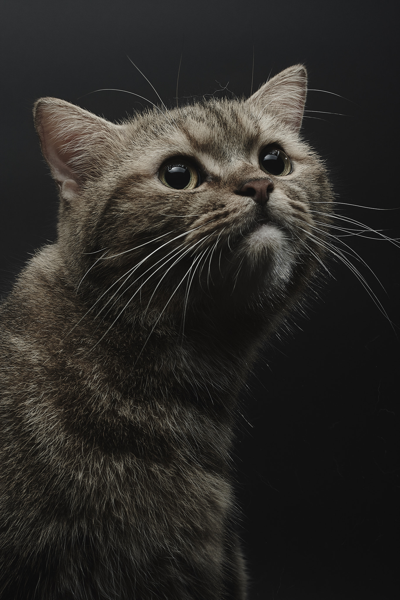 Canon EF-S 60mm F2.8 Macro USM sample photo. Capture photography