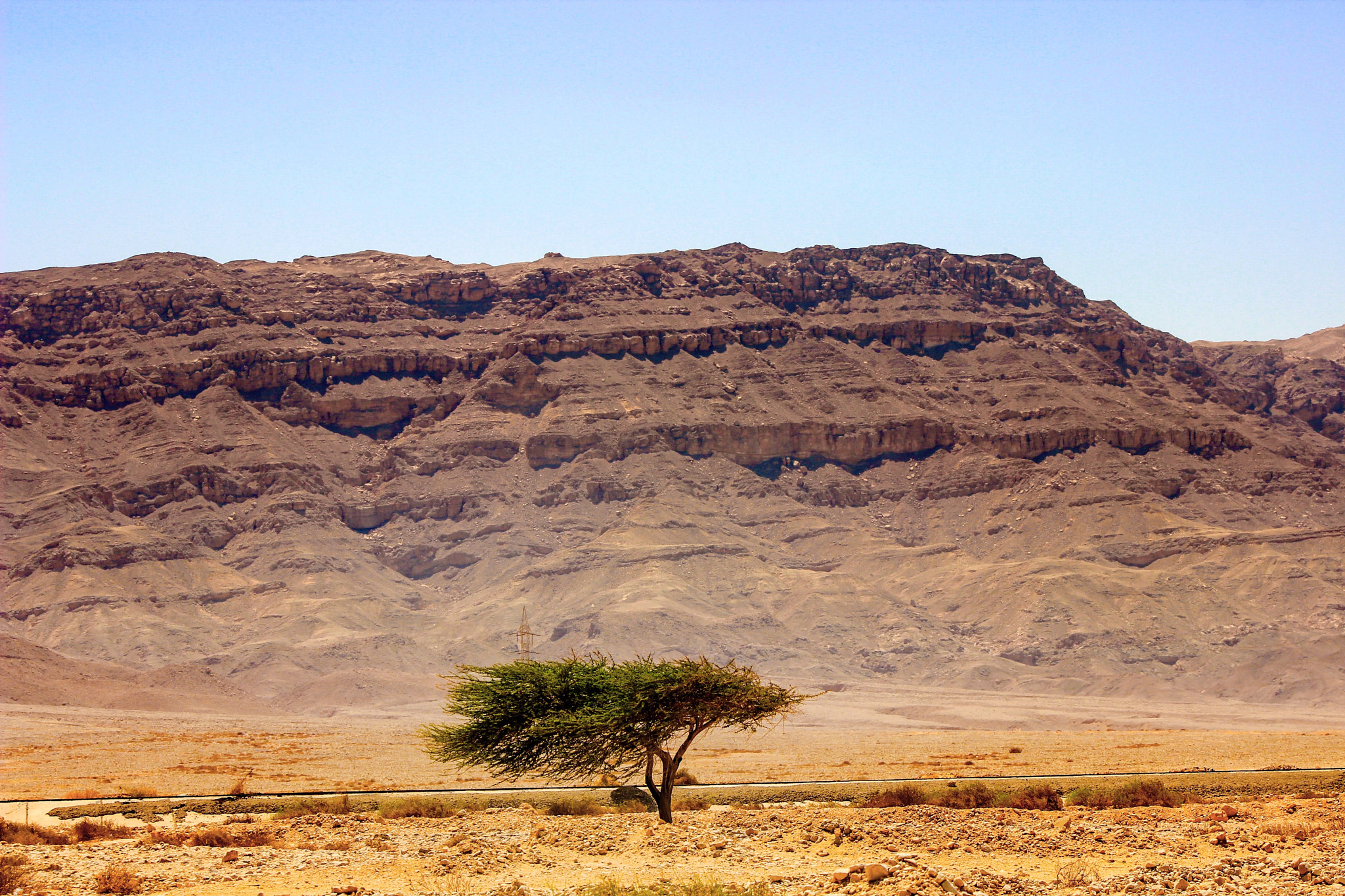 Canon EF75-300mm f/4-5.6 sample photo. Standing alone in the desert.. photography