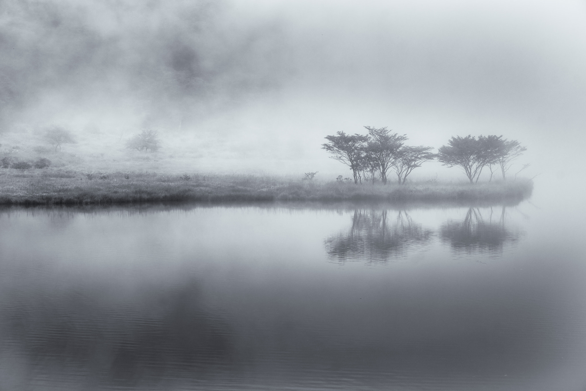 Sony a7R sample photo. Silver foggy morning photography