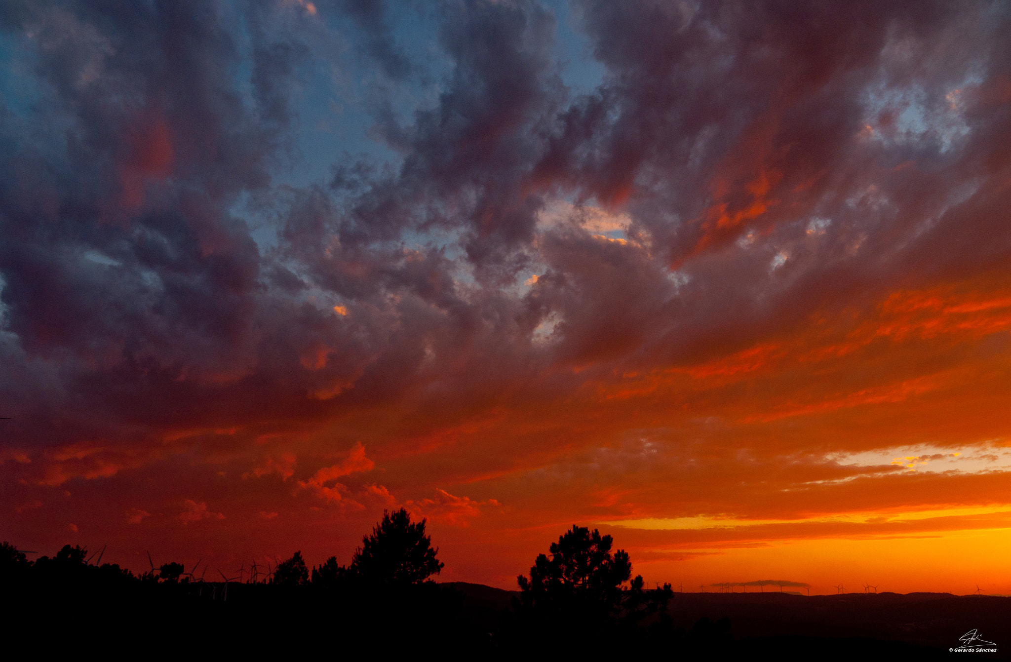 Nikon D90 + Sigma 18-200mm F3.5-6.3 DC sample photo. Summer's colors photography