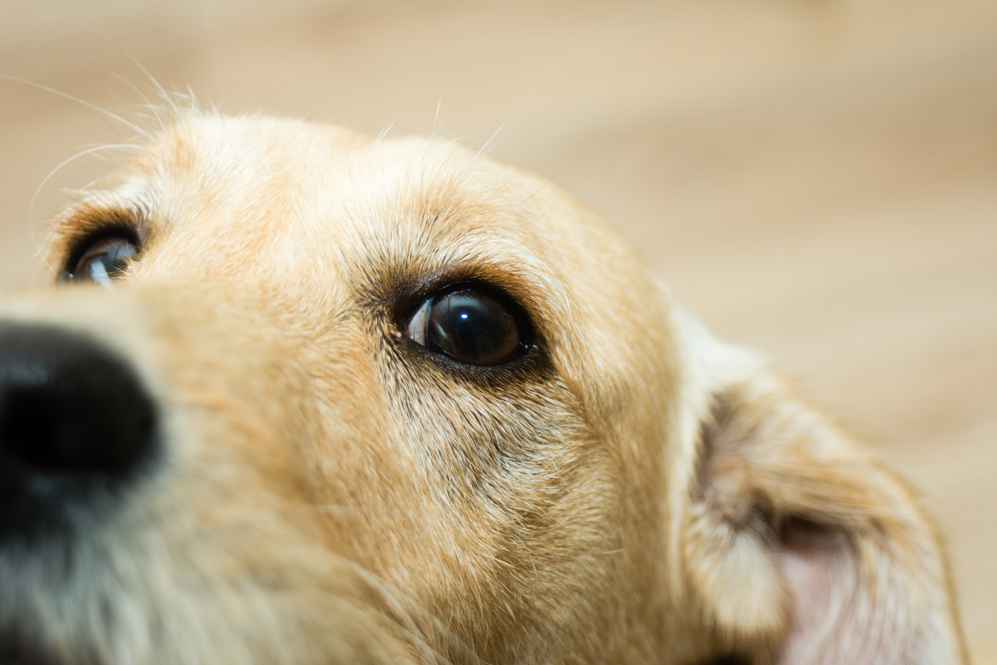 AF Zoom-Nikkor 35-80mm f/4-5.6D N sample photo. I love you photography