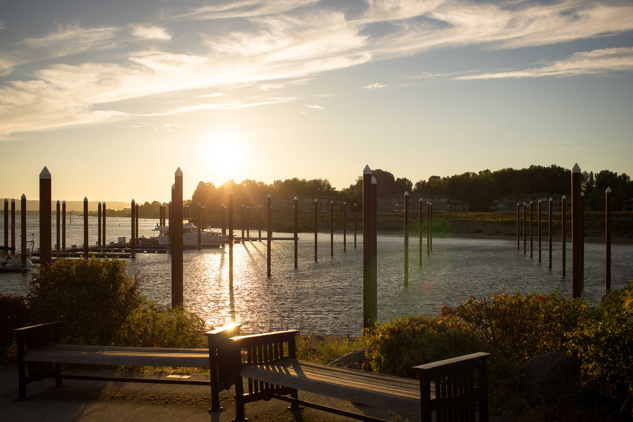 Canon EF-S 24mm F2.8 STM sample photo. Marina photography