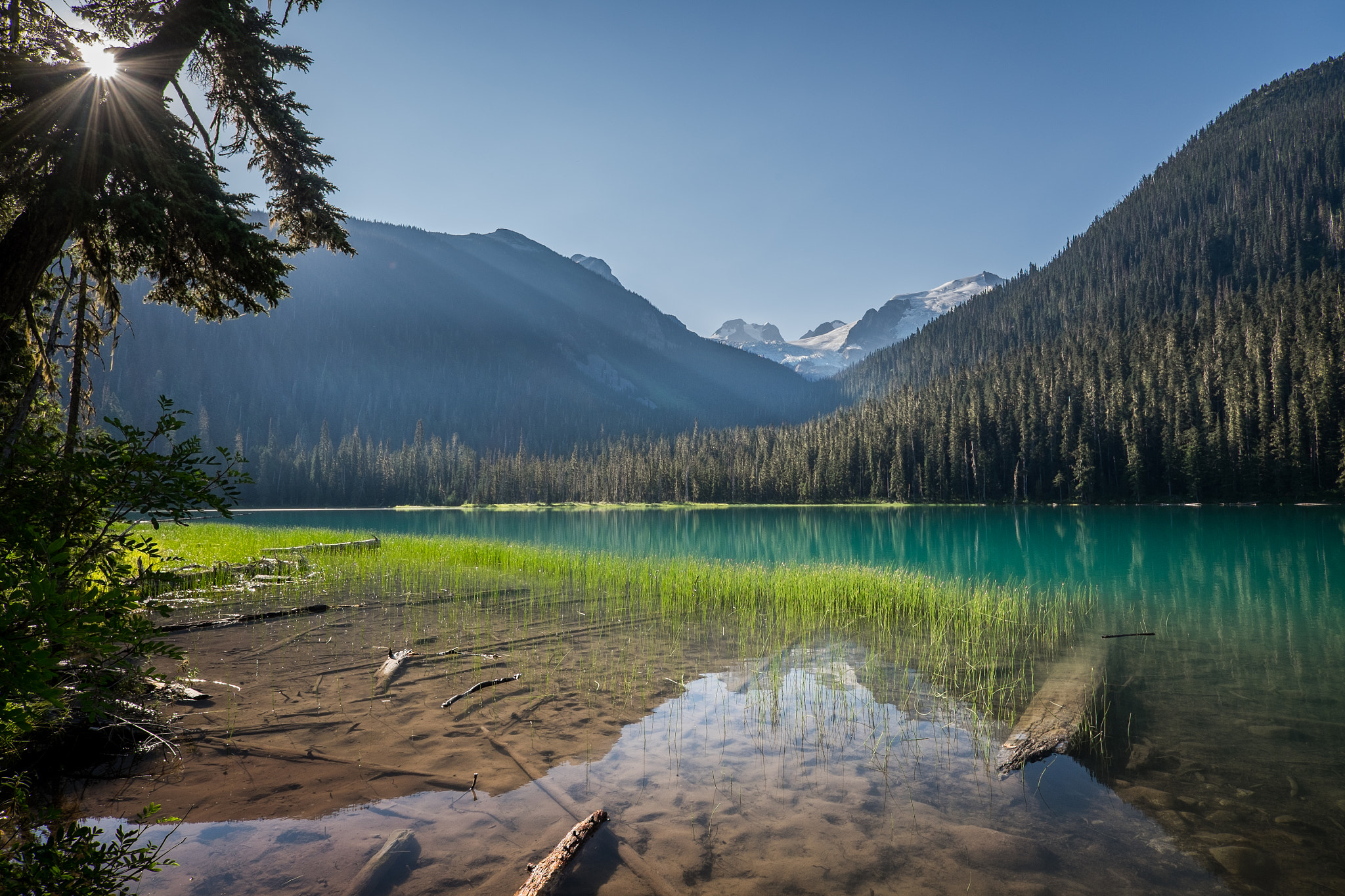 ZEISS Touit 12mm F2.8 sample photo. Lower joffre lake photography