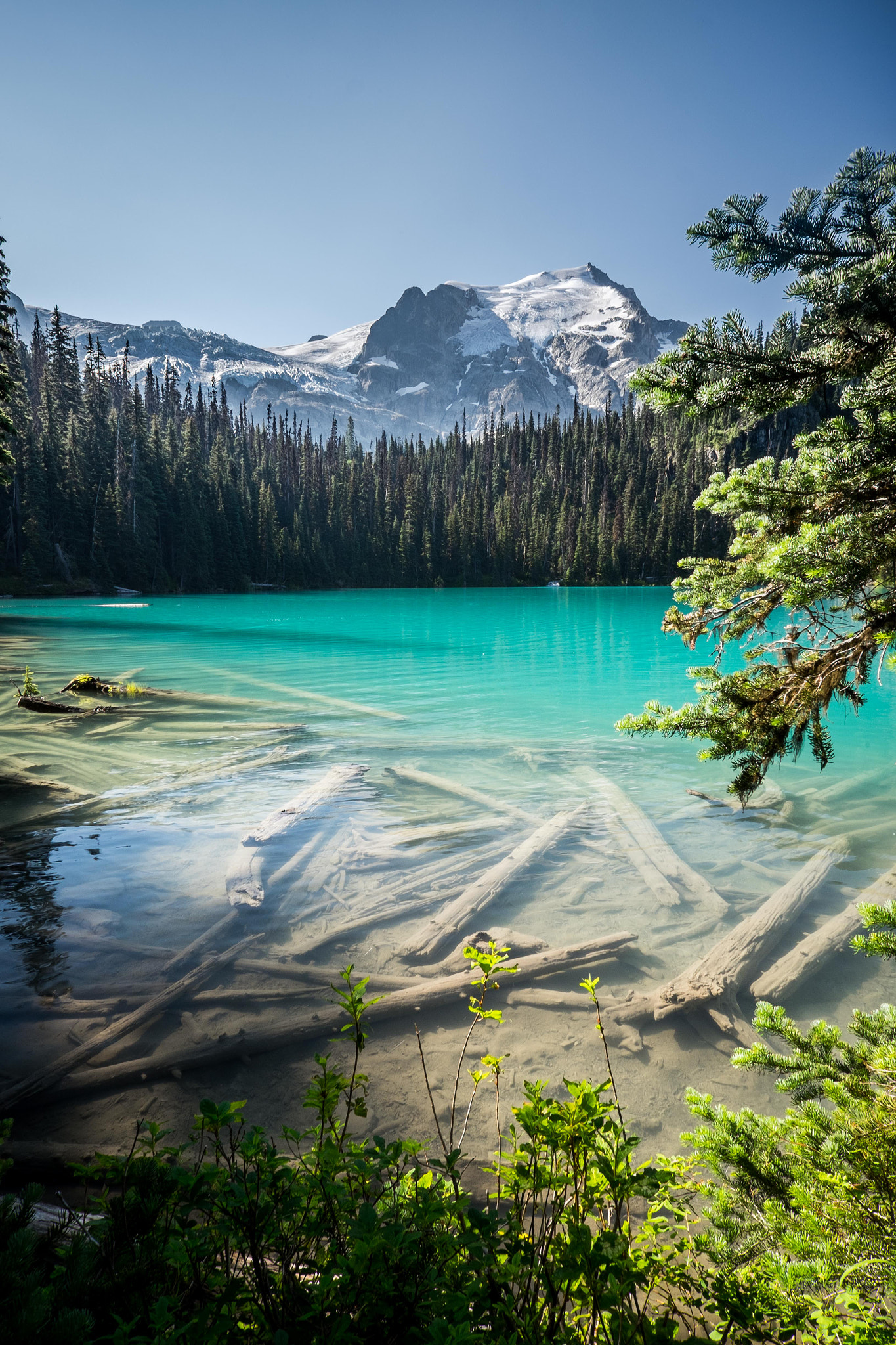 Fujifilm X-T1 + ZEISS Touit 12mm F2.8 sample photo. Middle joffre lake.jpg photography