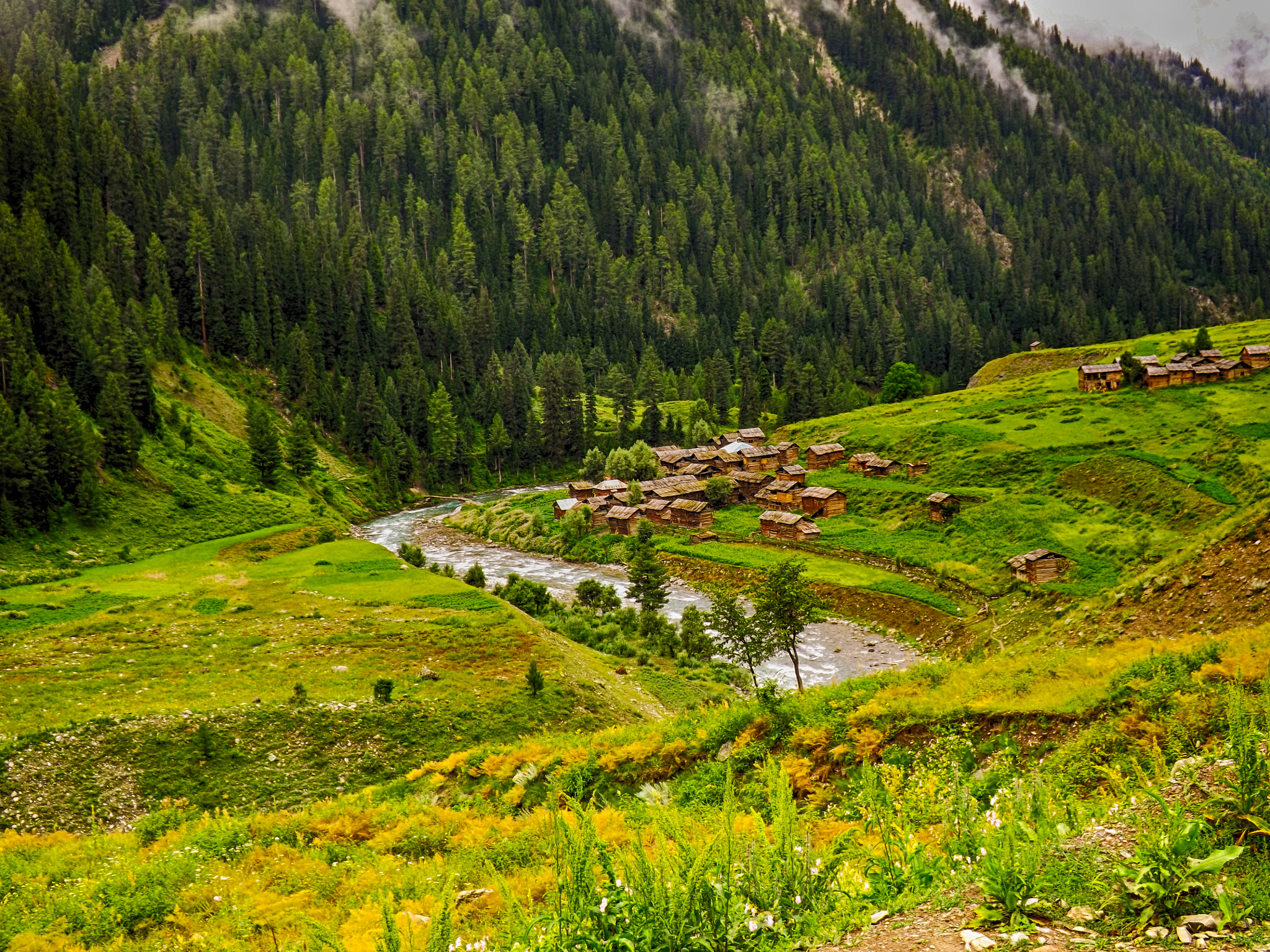 Fujifilm FinePix SL260 sample photo. Mapnoabad, minimarg photography