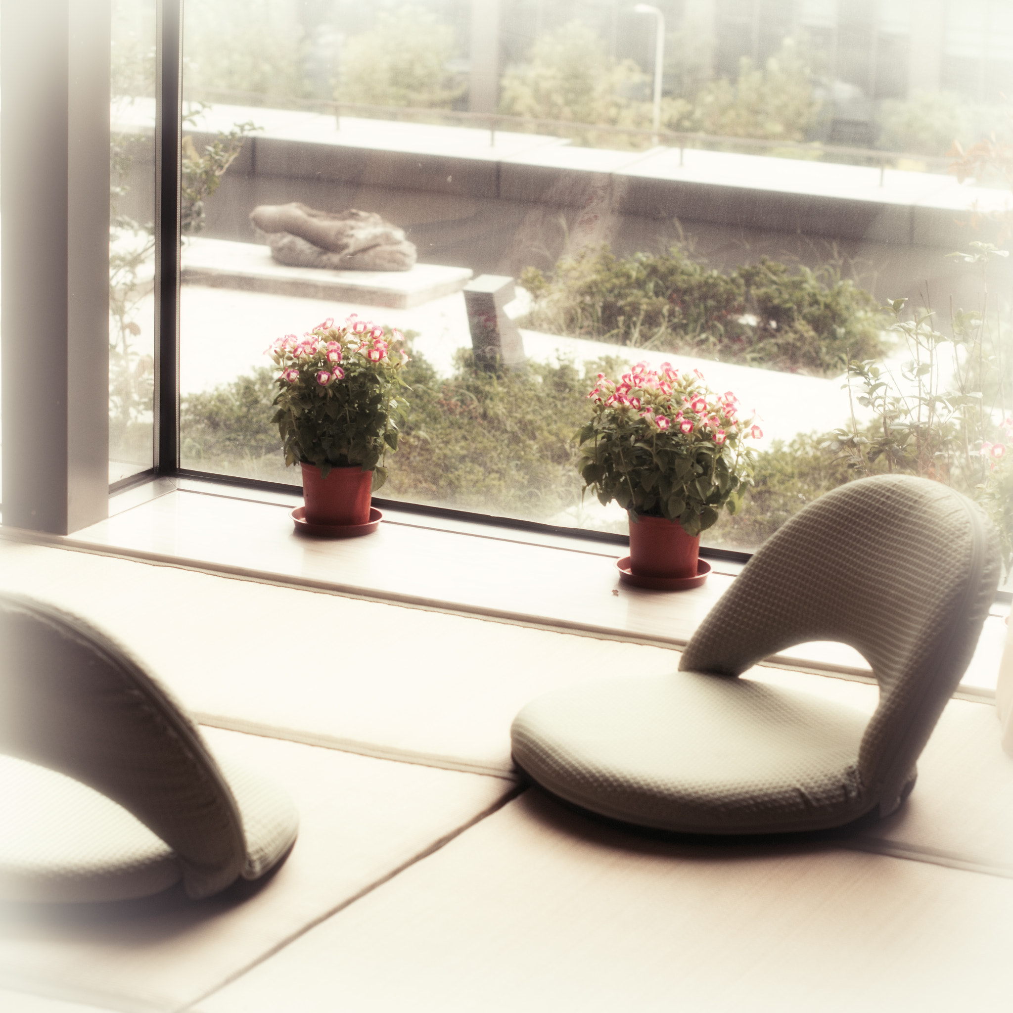 Nikon D300S + Nikon AF-S Nikkor 50mm F1.4G sample photo. Yoga room photography