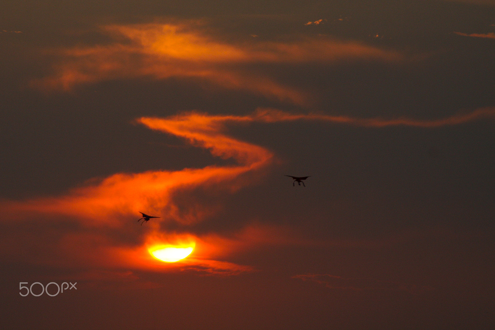 Canon EF 100-300mm F4.5-5.6 USM sample photo. Sunshine photography