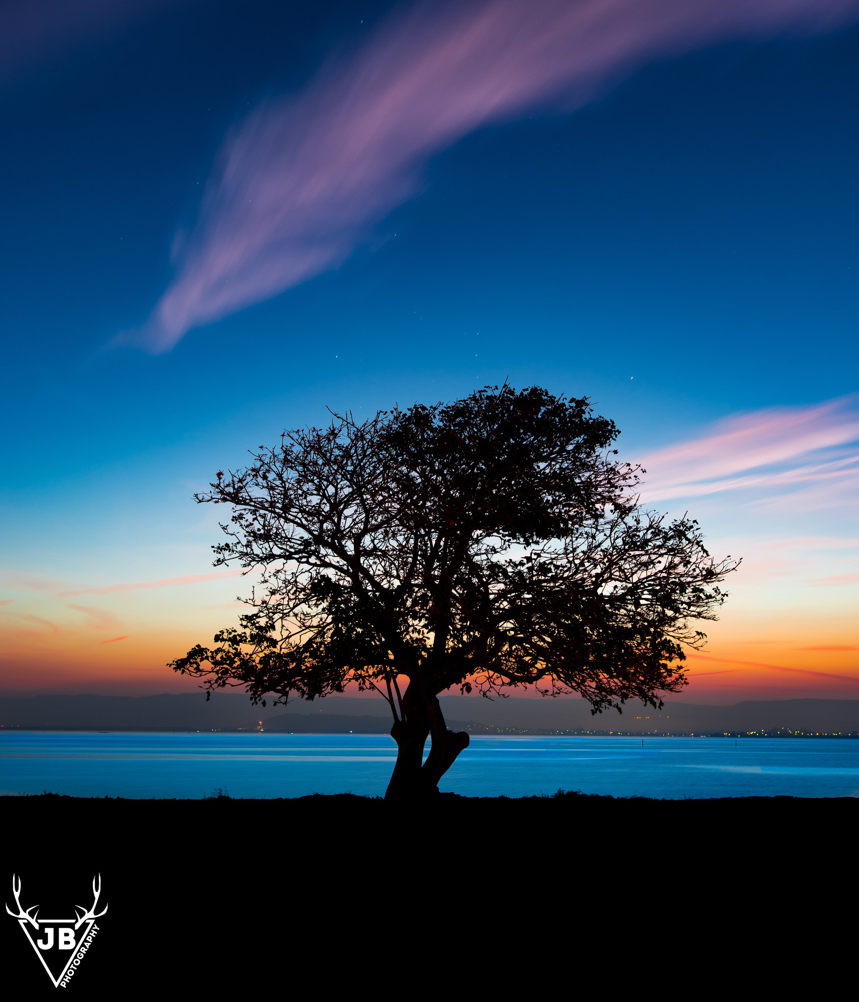 Sony a7 II + Sigma 24mm F1.4 DG HSM Art sample photo. Lone tree on lake illawarra nsw photography