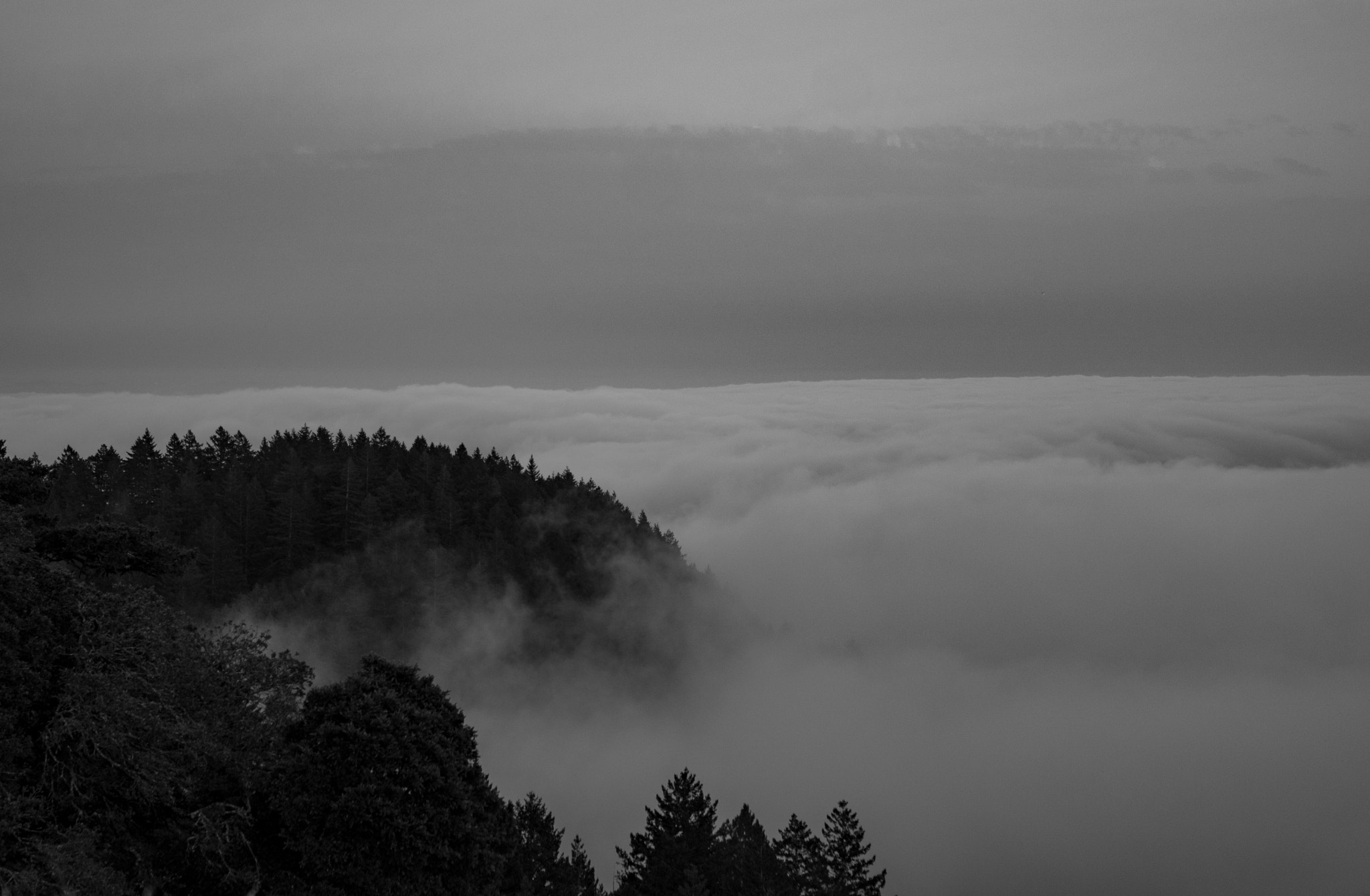 Sony a7 II + Canon EF 24-70mm F2.8L USM sample photo. Above the clouds photography