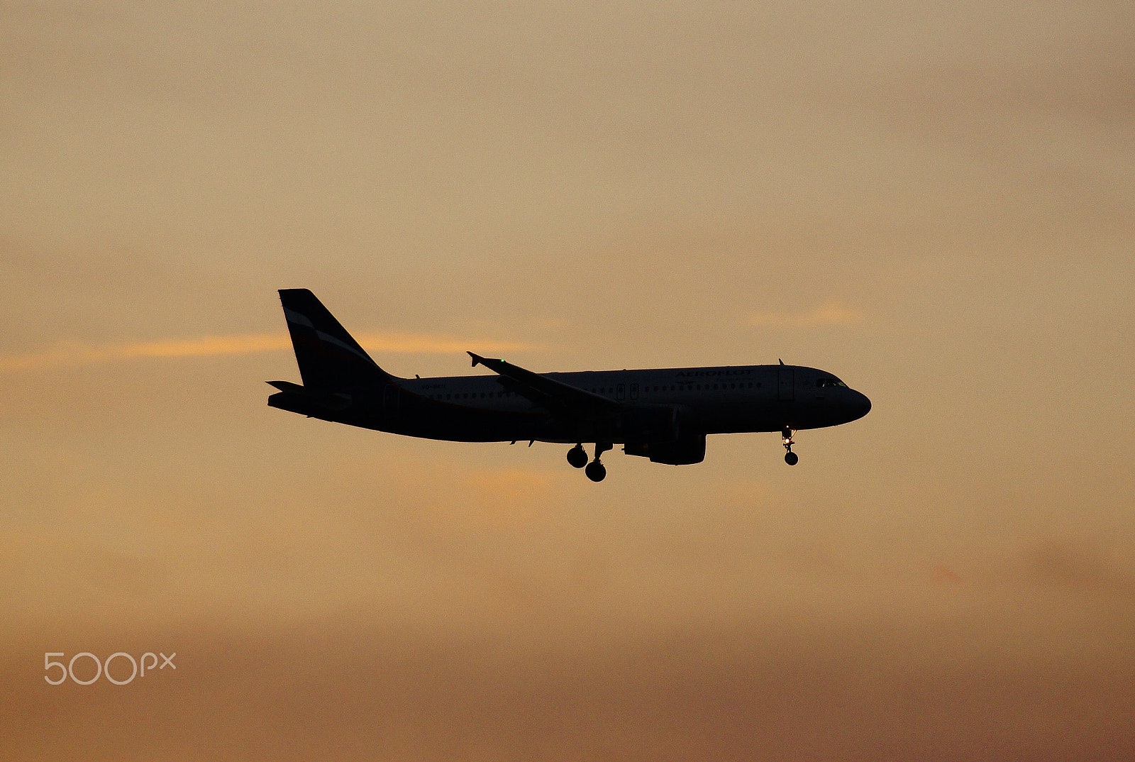 Sony DT 55-200mm F4-5.6 SAM sample photo. I wish you a soft landing! photography