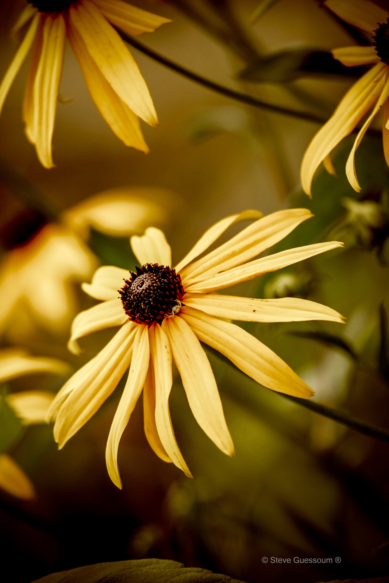 Canon EF 100-400mm F4.5-5.6L IS USM sample photo