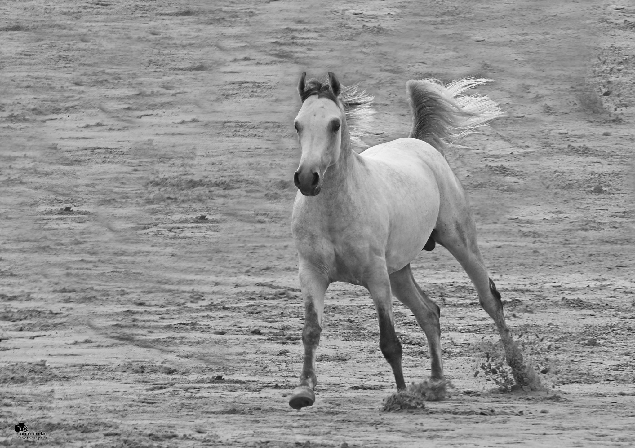 Canon EF 100-400mm F4.5-5.6L IS USM sample photo