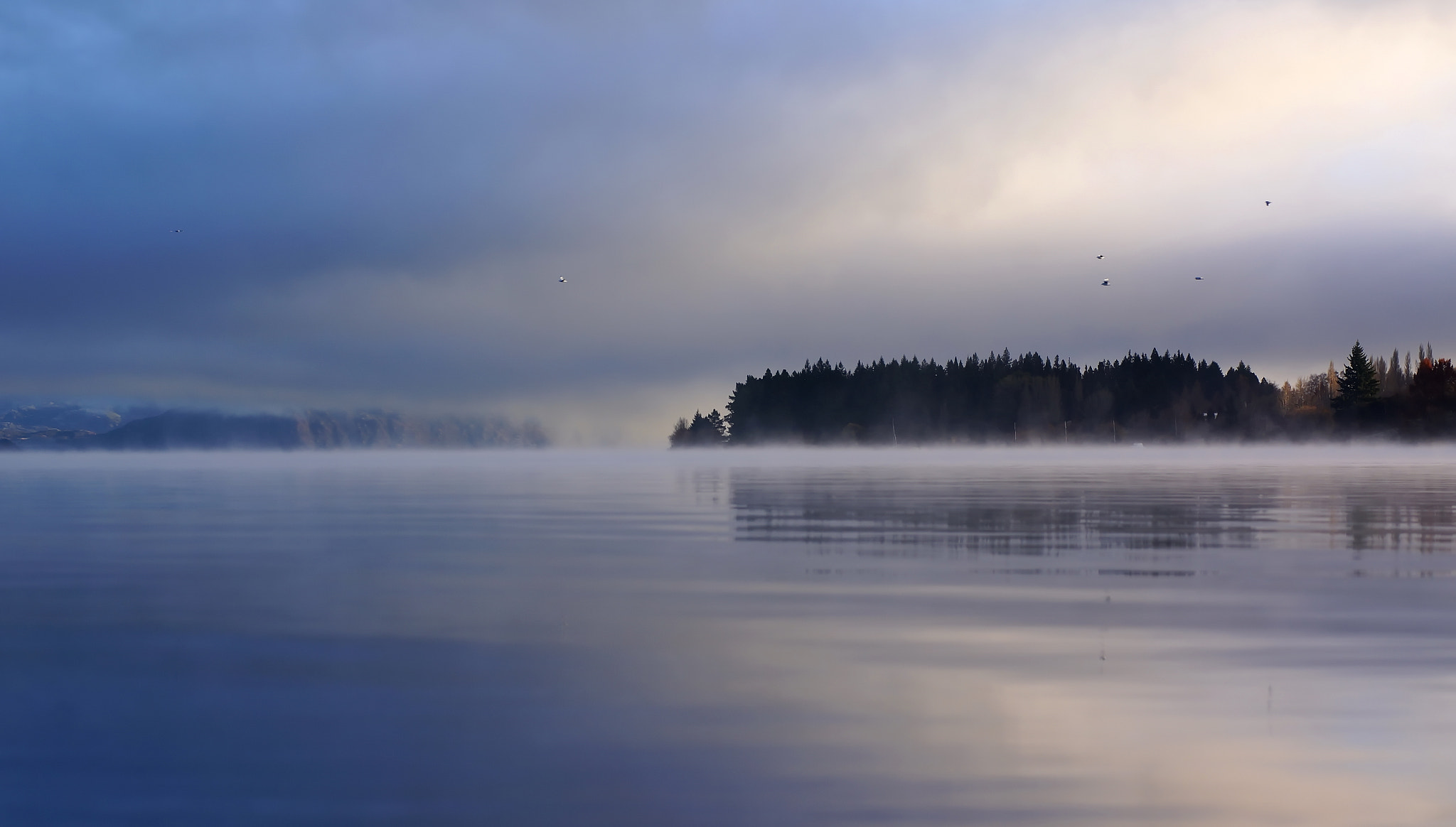 Sony Alpha NEX-5R + Sony 50mm F1.4 sample photo. Wanaka fog photography