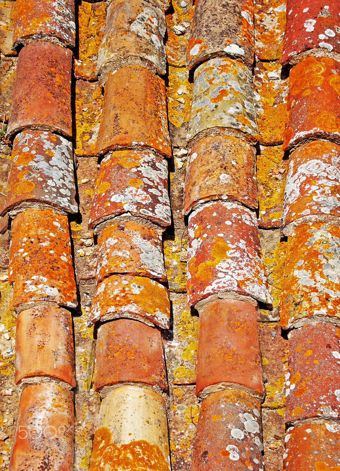 Sony Cyber-shot DSC-W110 sample photo. Fragment of colorful old tile roof photography