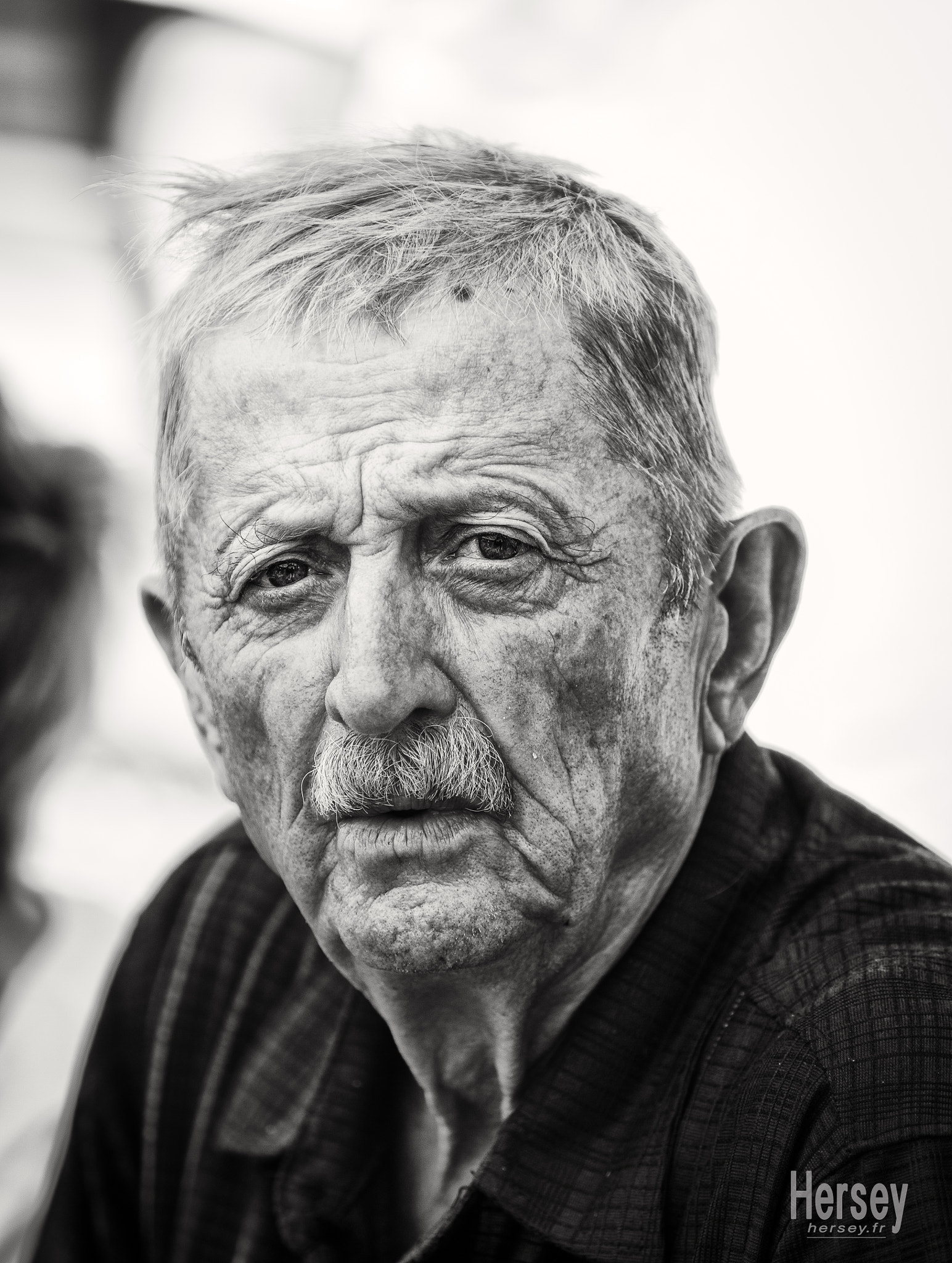 Canon EOS-1D Mark IV sample photo. Roots photography