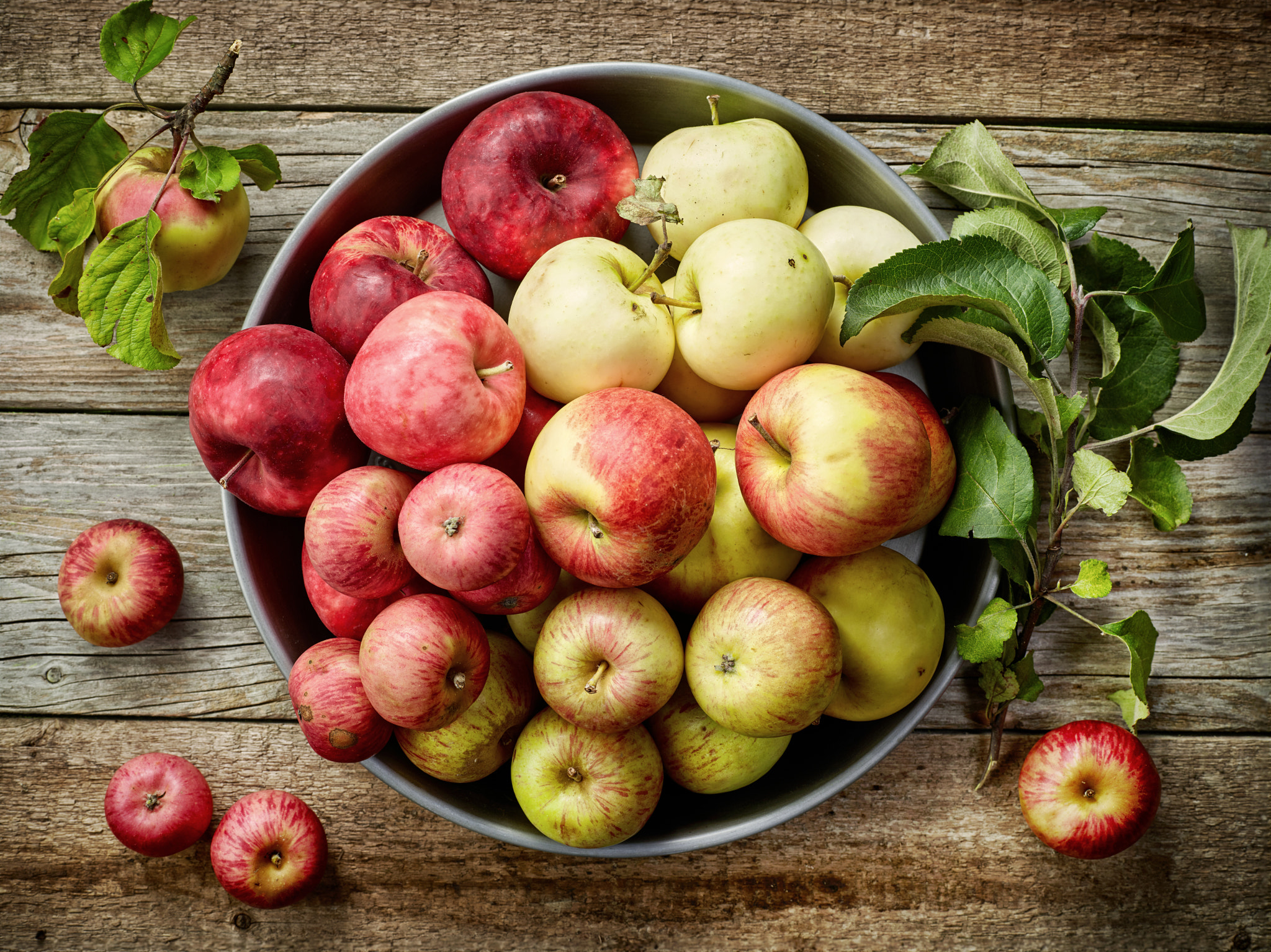 Phase One P65+ sample photo. Plate of various fresh apples photography
