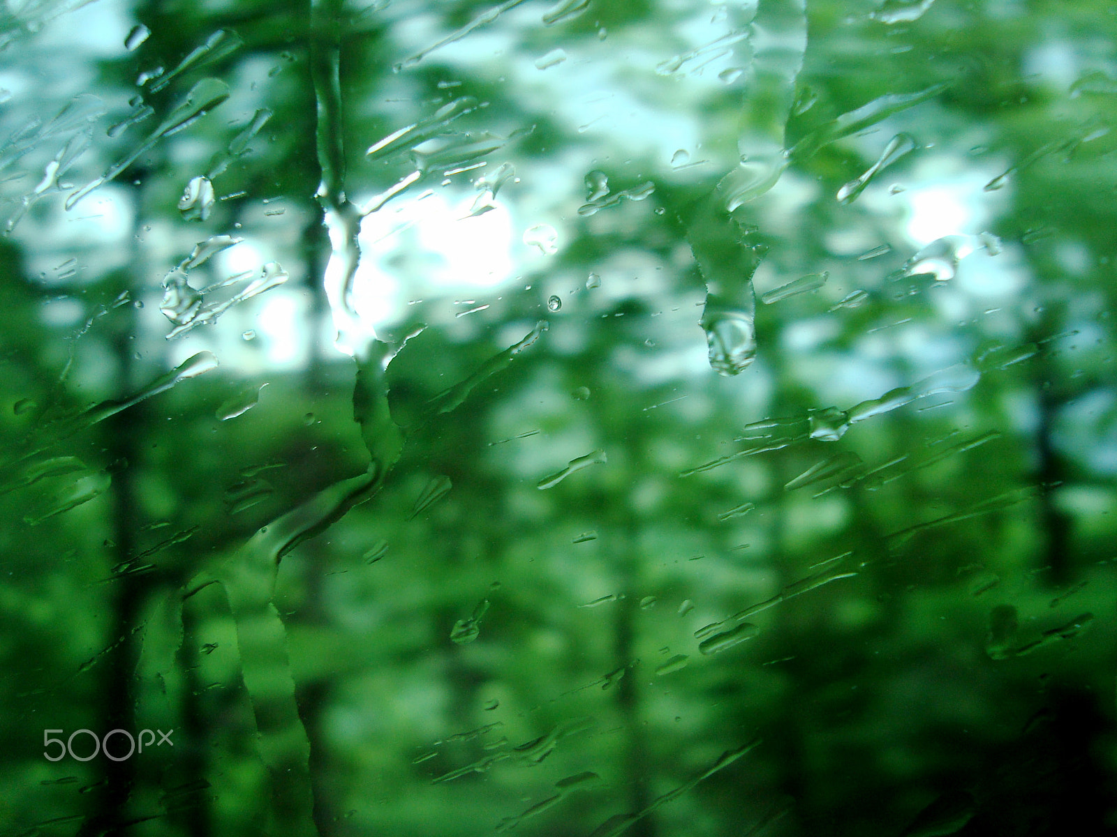 Sony Cyber-shot DSC-W110 sample photo. Rain drops on glass. the green background. horizontal. photography