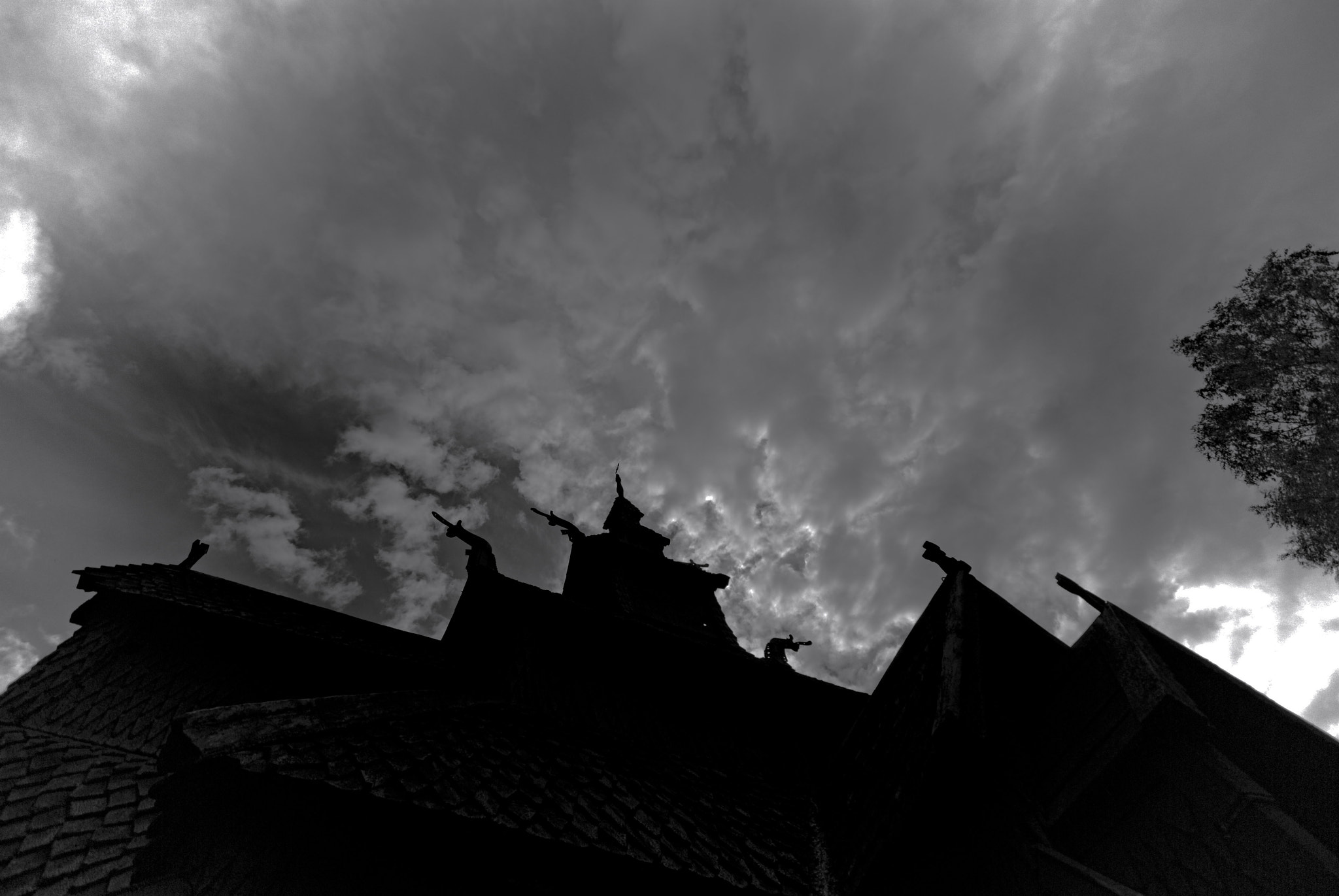 Sigma 10-20mm F4-5.6 EX DC HSM sample photo. A tree and his church photography