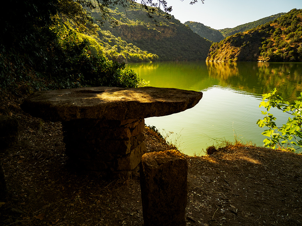 Panasonic Lumix G X Vario 12-35mm F2.8 ASPH Power OIS sample photo. Mesa sobre verde photography