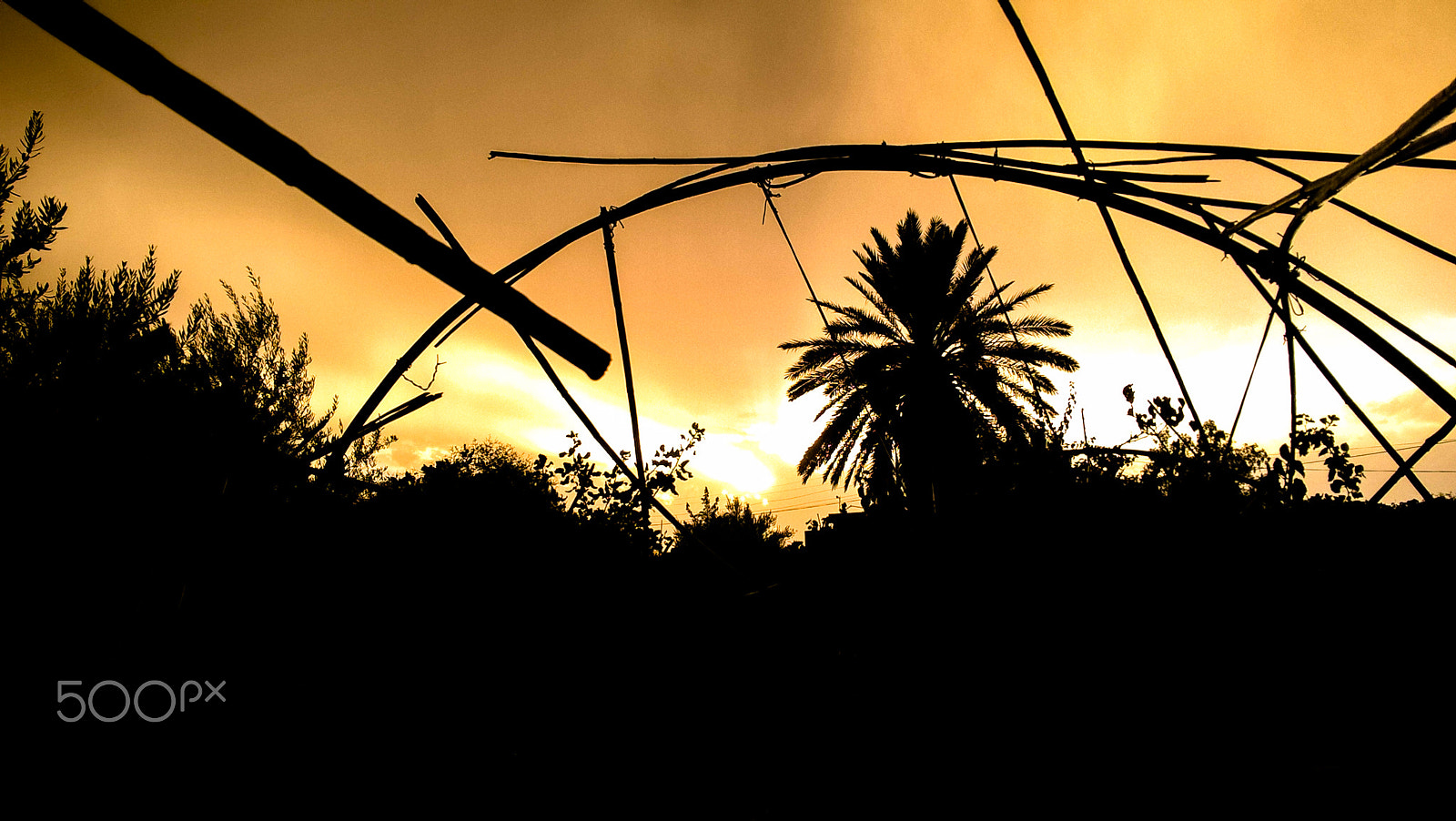 Microsoft Lumia 640 LTE Dual SIM sample photo. Sunset at home photography