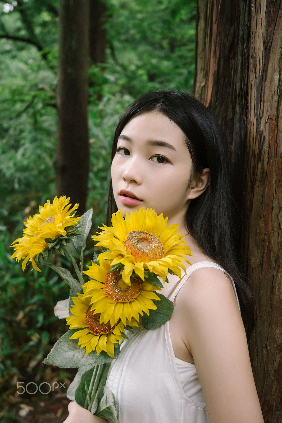 Nikon D4 sample photo. Sunflower girl photography