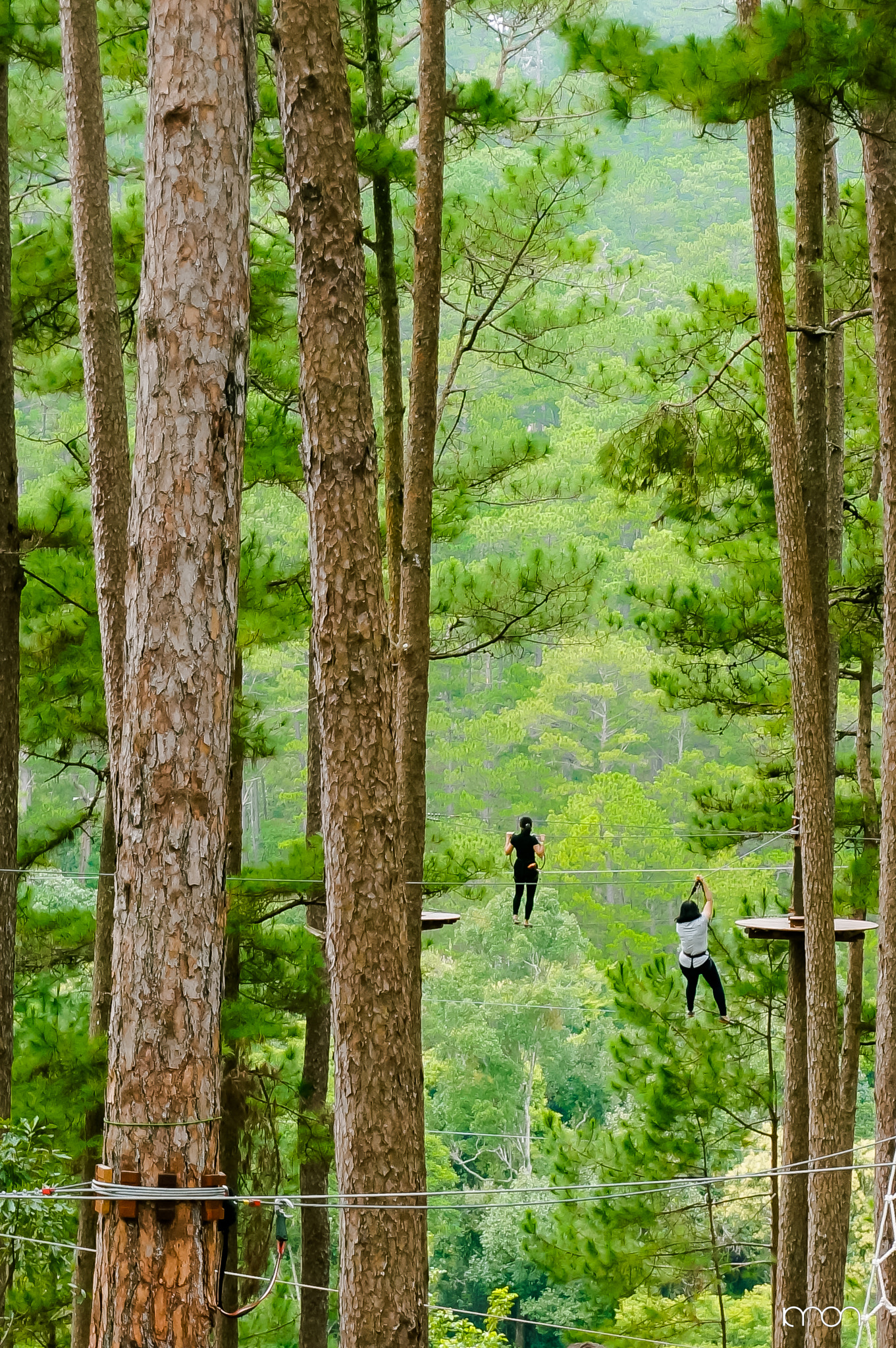 Sony Alpha NEX-5N sample photo. No limit datanla dalat photography