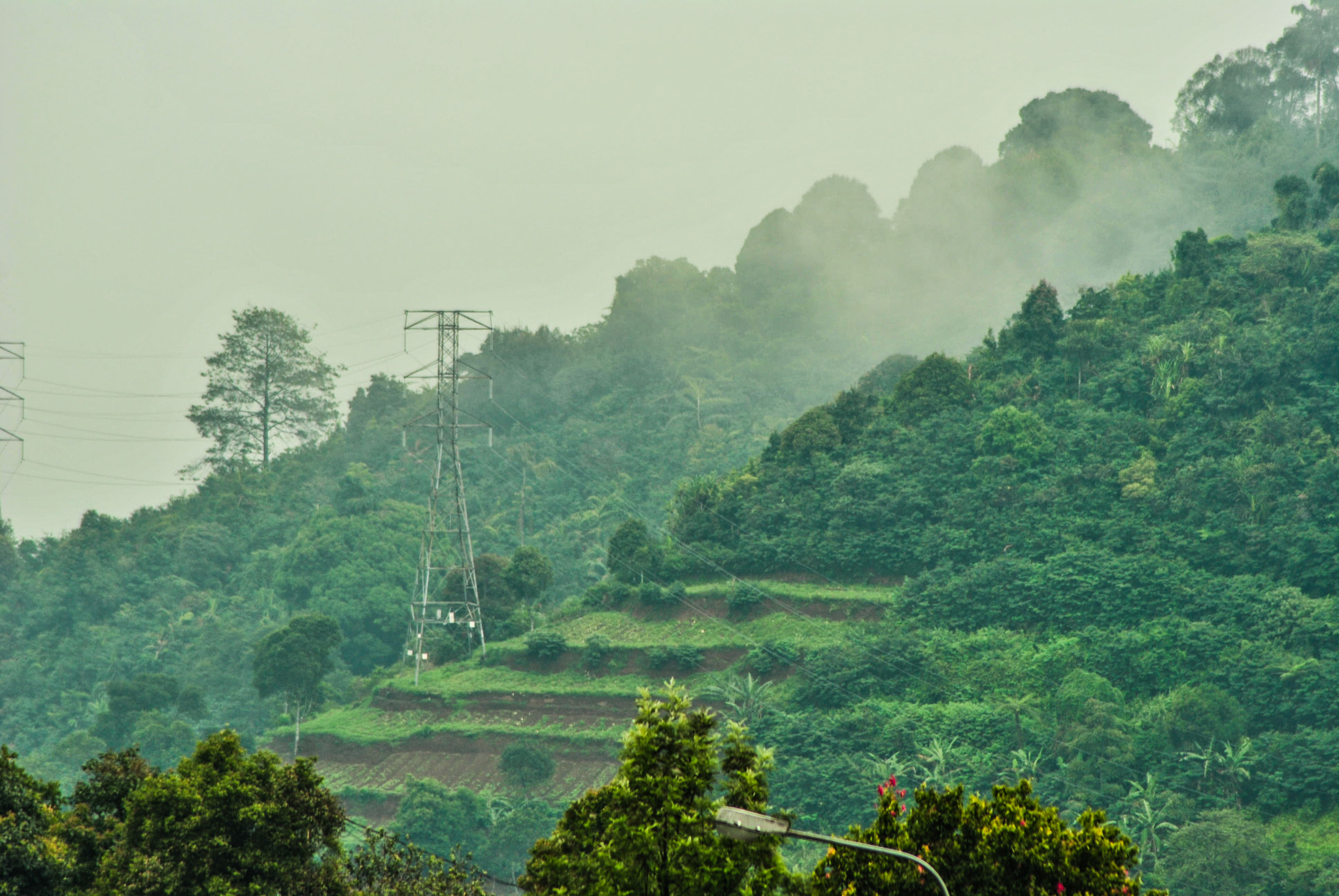 Nikon D3000 sample photo. Lembah berkabut photography
