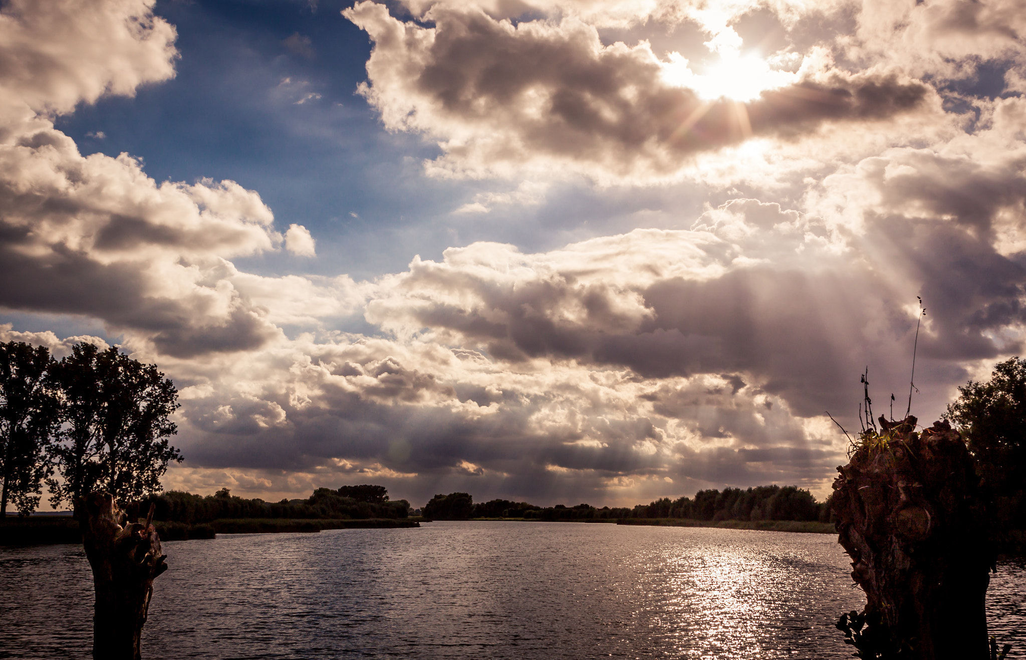 Canon EOS 500D (EOS Rebel T1i / EOS Kiss X3) sample photo. Sunflares photography
