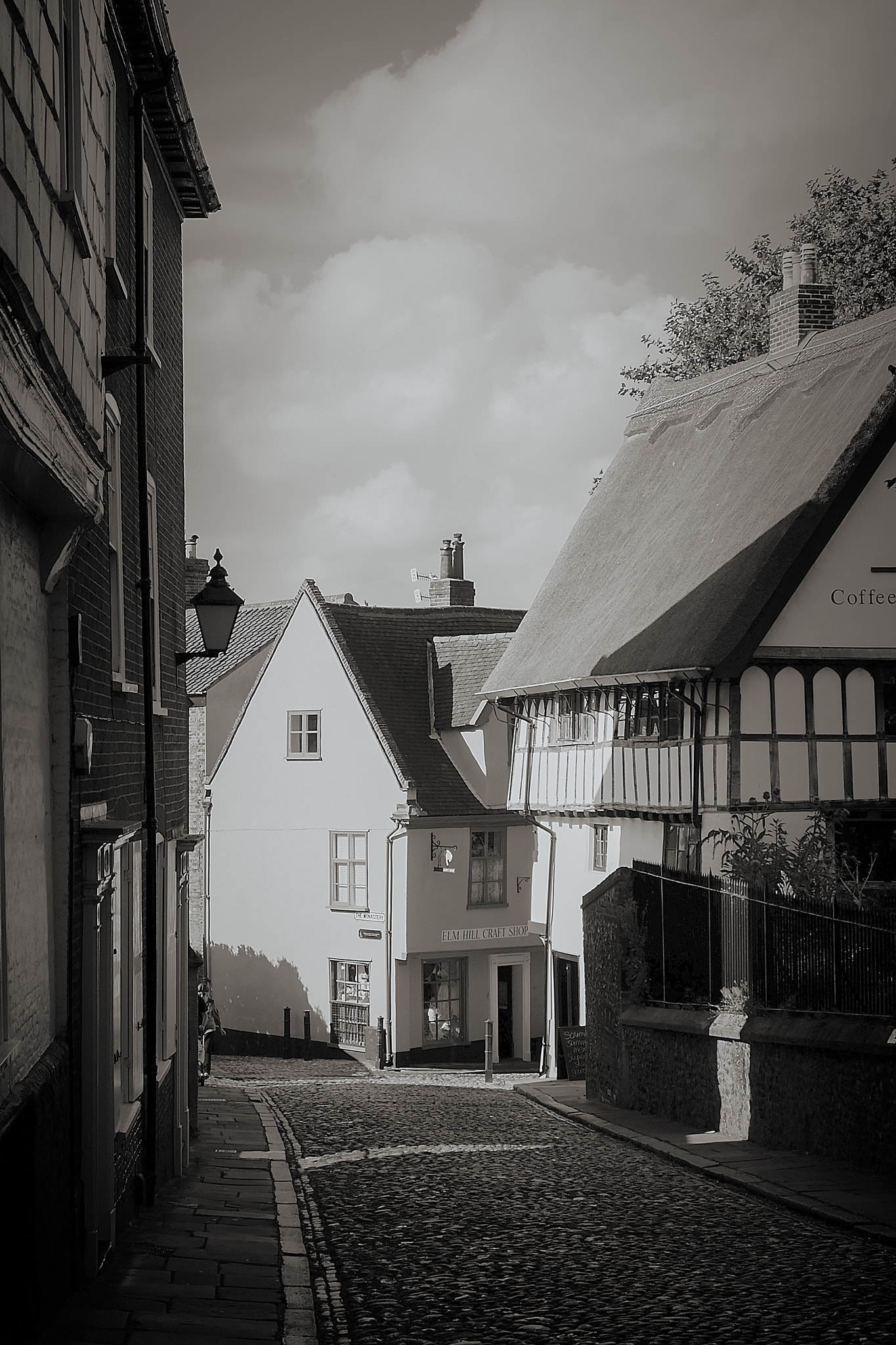 Fujifilm X-M1 + Fujifilm XF 18-55mm F2.8-4 R LM OIS sample photo. Norwich photography