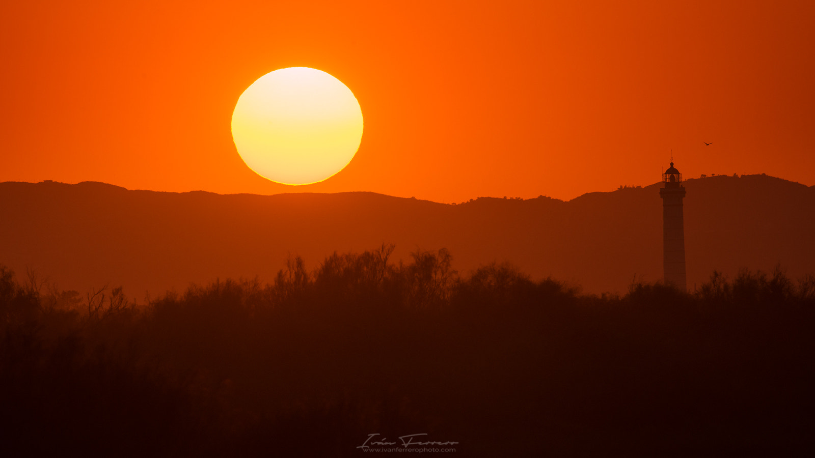 Nikon D800E sample photo. Lighthouse and sun  photography