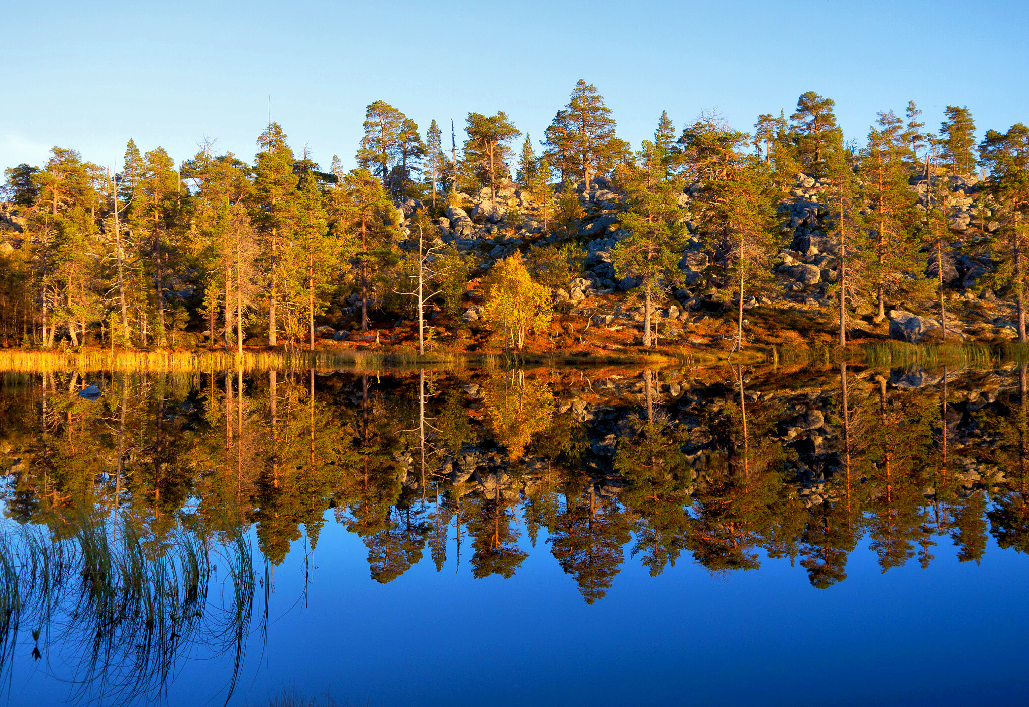 Panasonic Lumix DMC-GH2 sample photo. No wind on the lake photography
