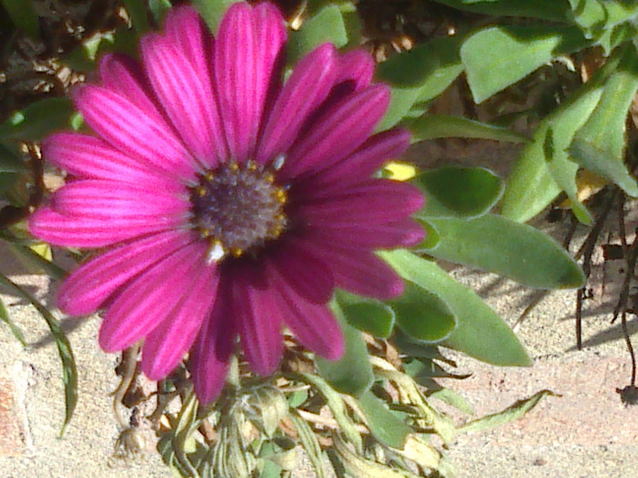 Nokia E5-00.2 sample photo. 110520131280.jpg photography