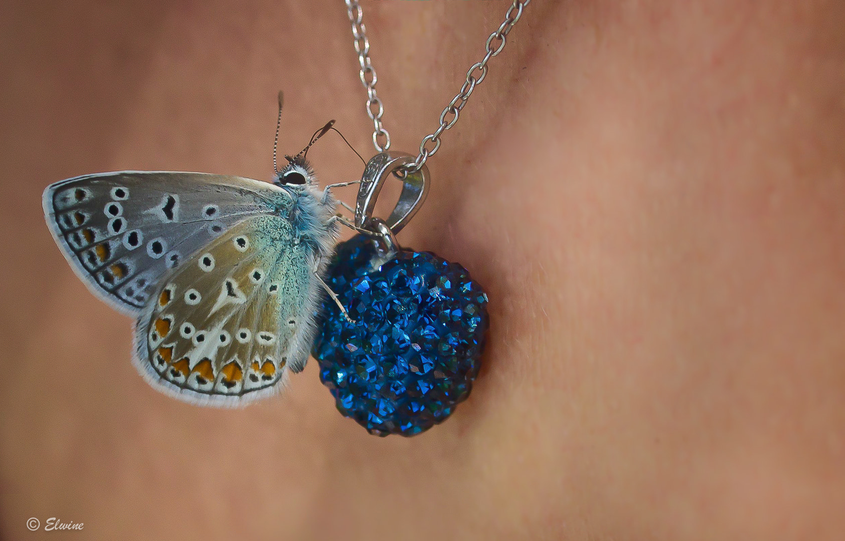 Panasonic Lumix G Macro 30mm F2.8 ASPH Mega OIS sample photo. The necklace and the butterfly ... photography
