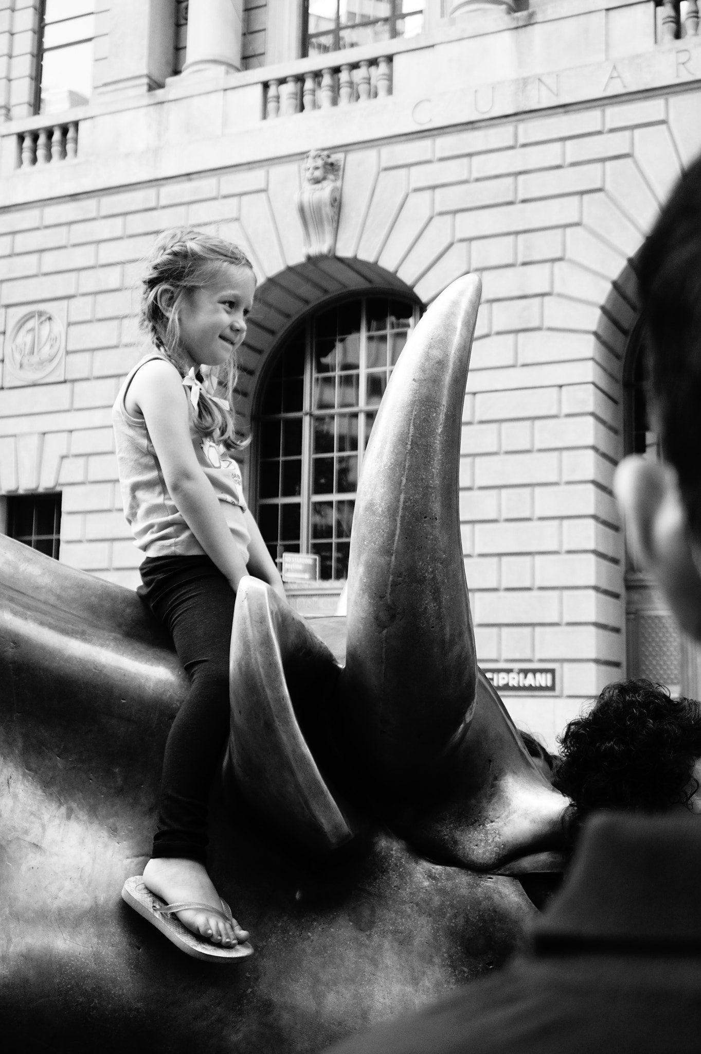 Sony E 16-50mm F3.5-5.6 PZ OSS sample photo. Bull photography