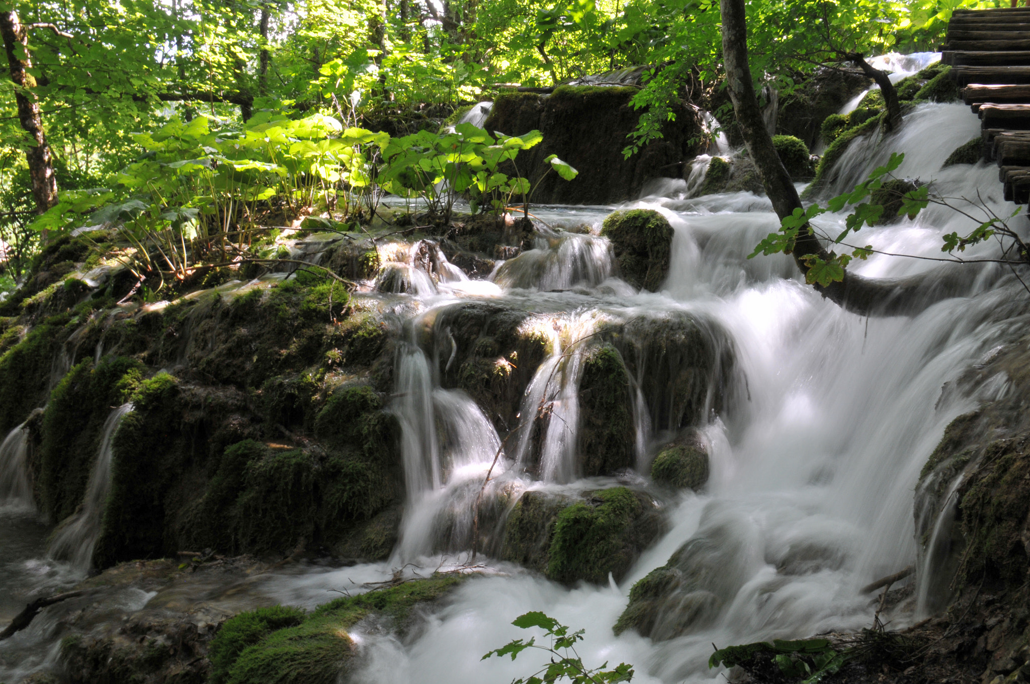 Nikon D300S sample photo. Plitvice 1 photography