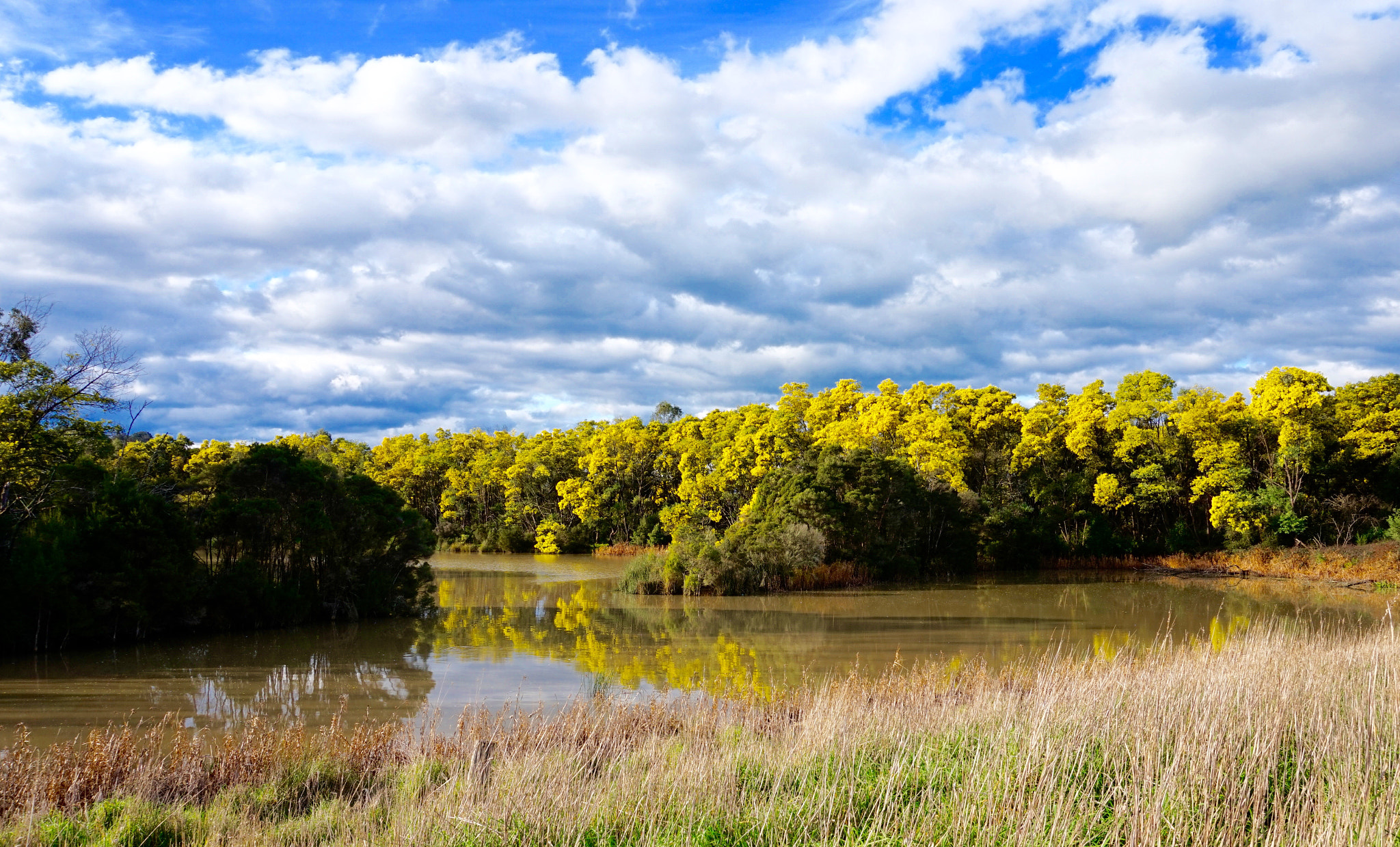 Sony Alpha QX1 + Sony E 18-50mm F4-5.6 sample photo. Way from sydney to the snow mountain, blue sky and ... photography