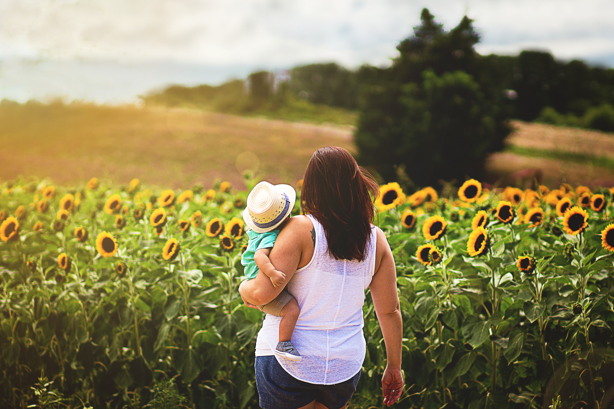 Canon EOS 100D (EOS Rebel SL1 / EOS Kiss X7) sample photo. Sunflower field photography