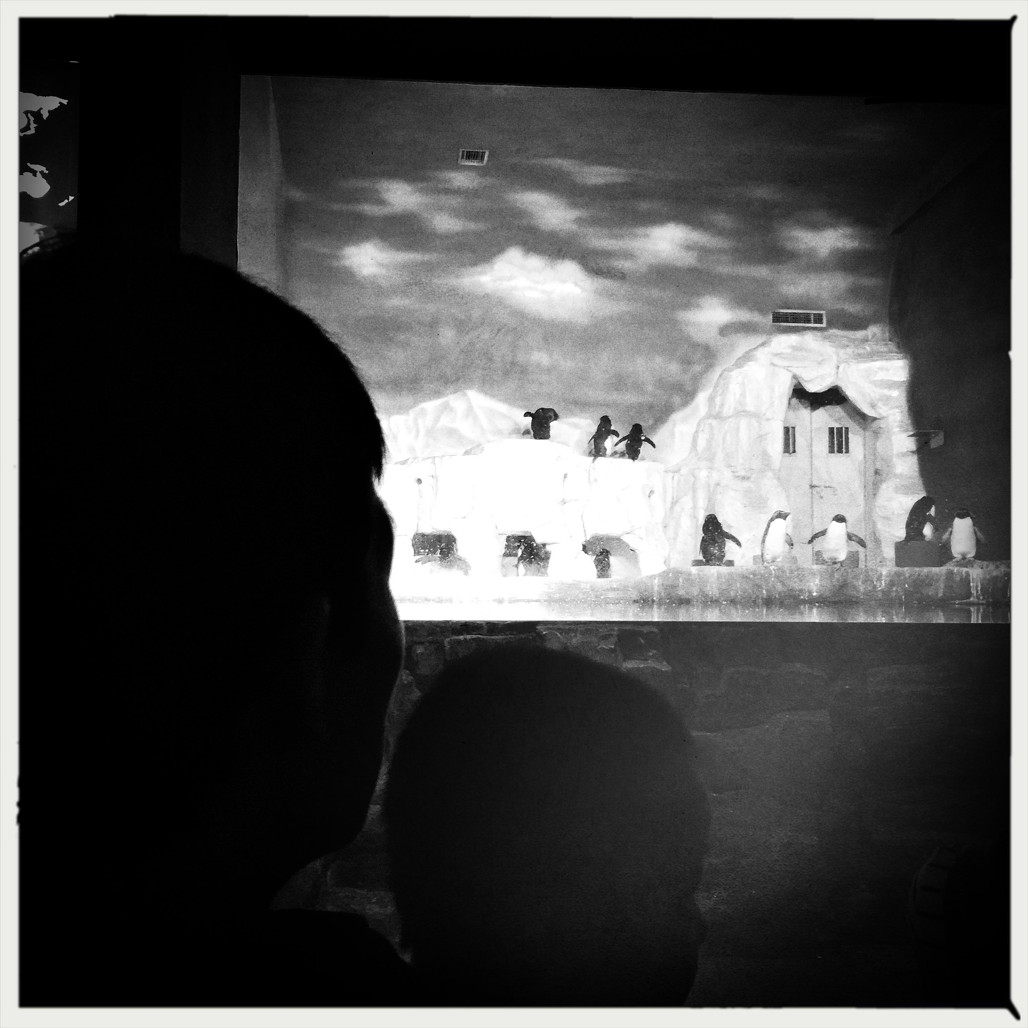 Hipstamatic 314 sample photo. 无题/by iphone photography