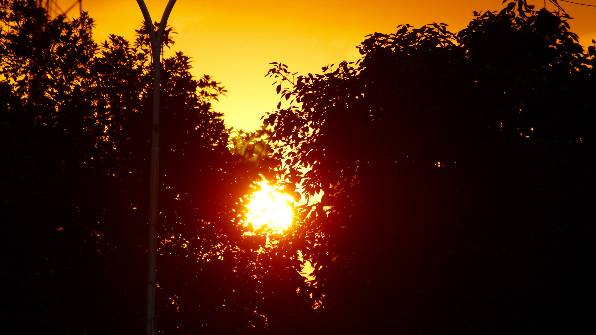 Canon EF-S 55-250mm F4-5.6 IS II sample photo. Sky on fire photography