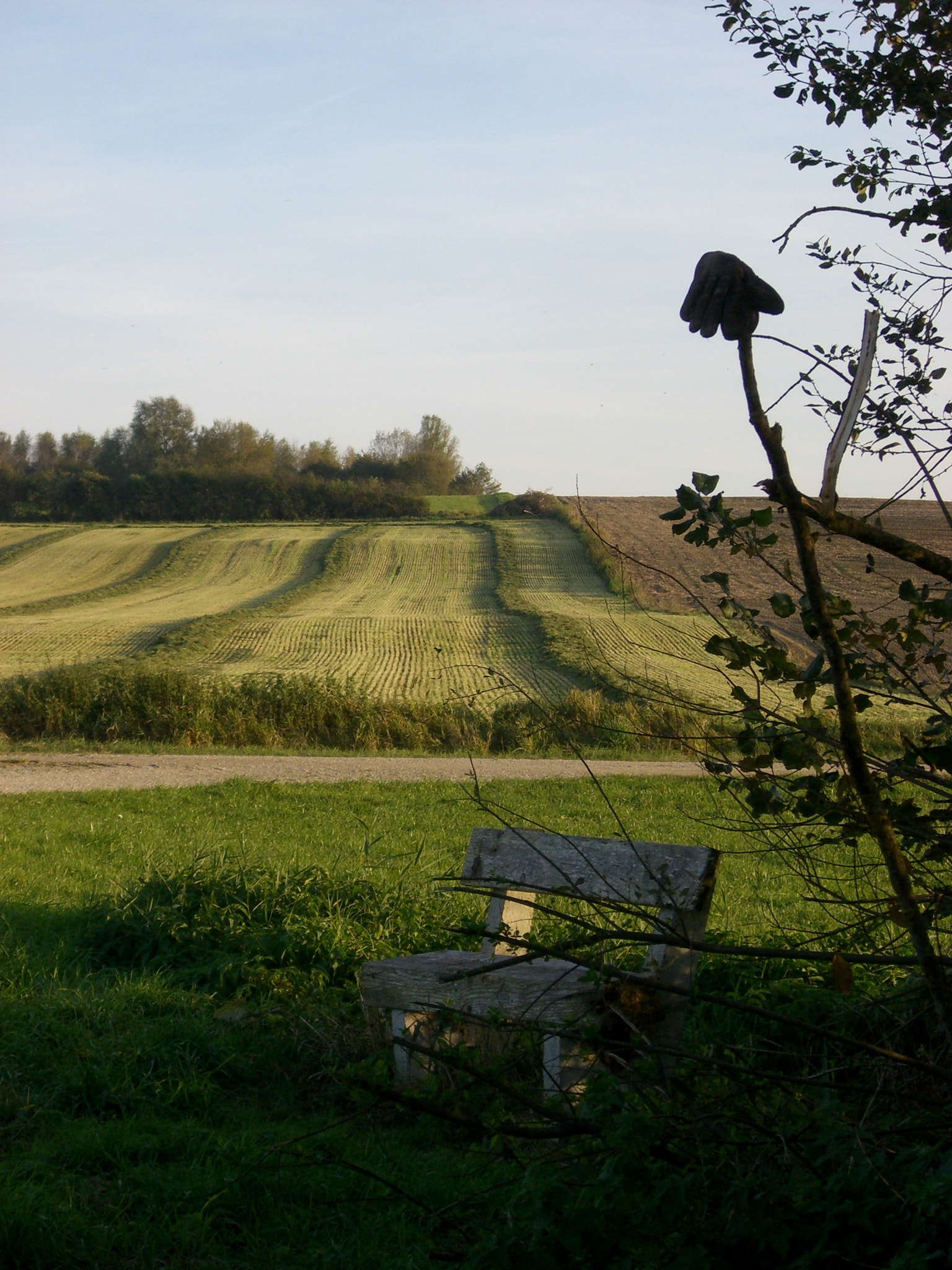 CASIO EX-S600 sample photo. Ruheort im schatten photography