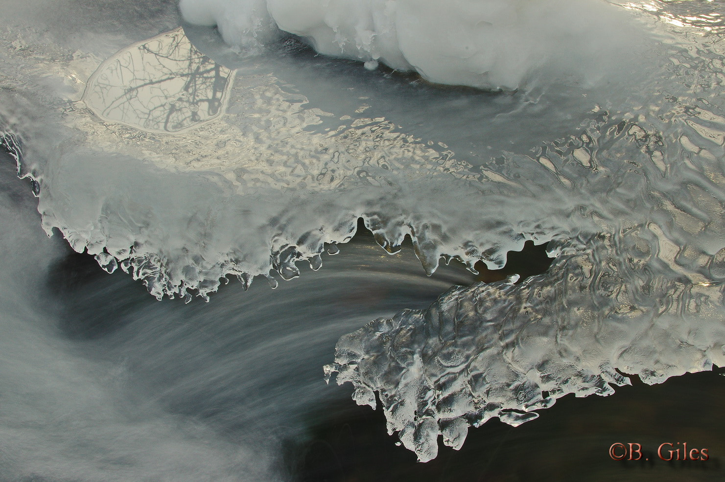 Pentax K-3 sample photo. Frozen lace photography