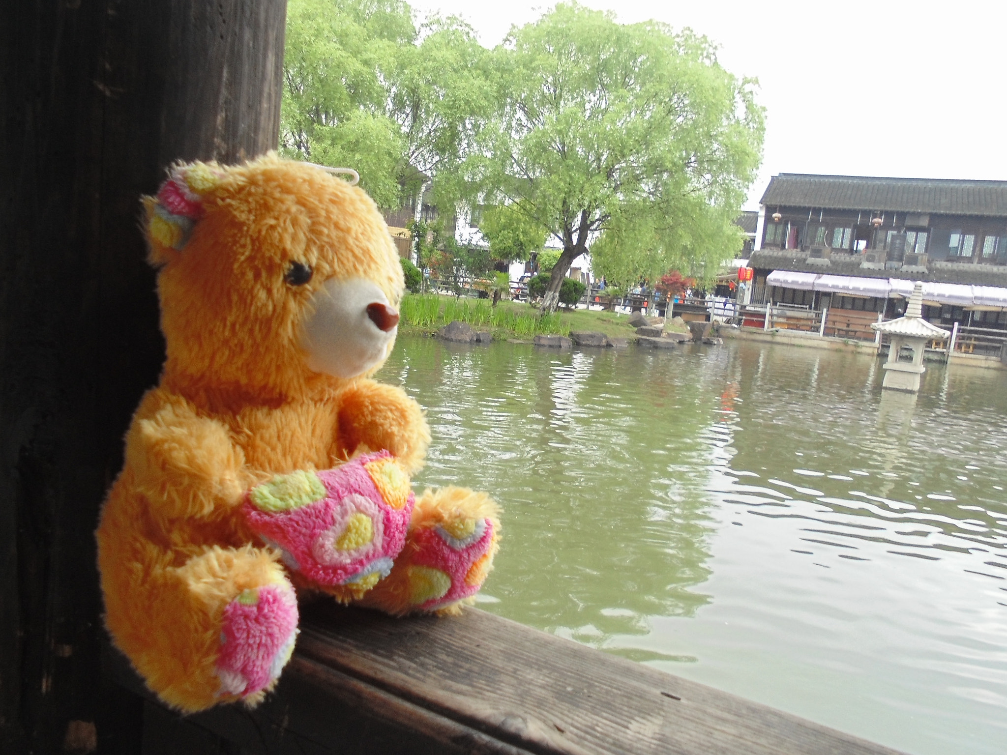 Sony DSC-W670 sample photo. Bear  photography