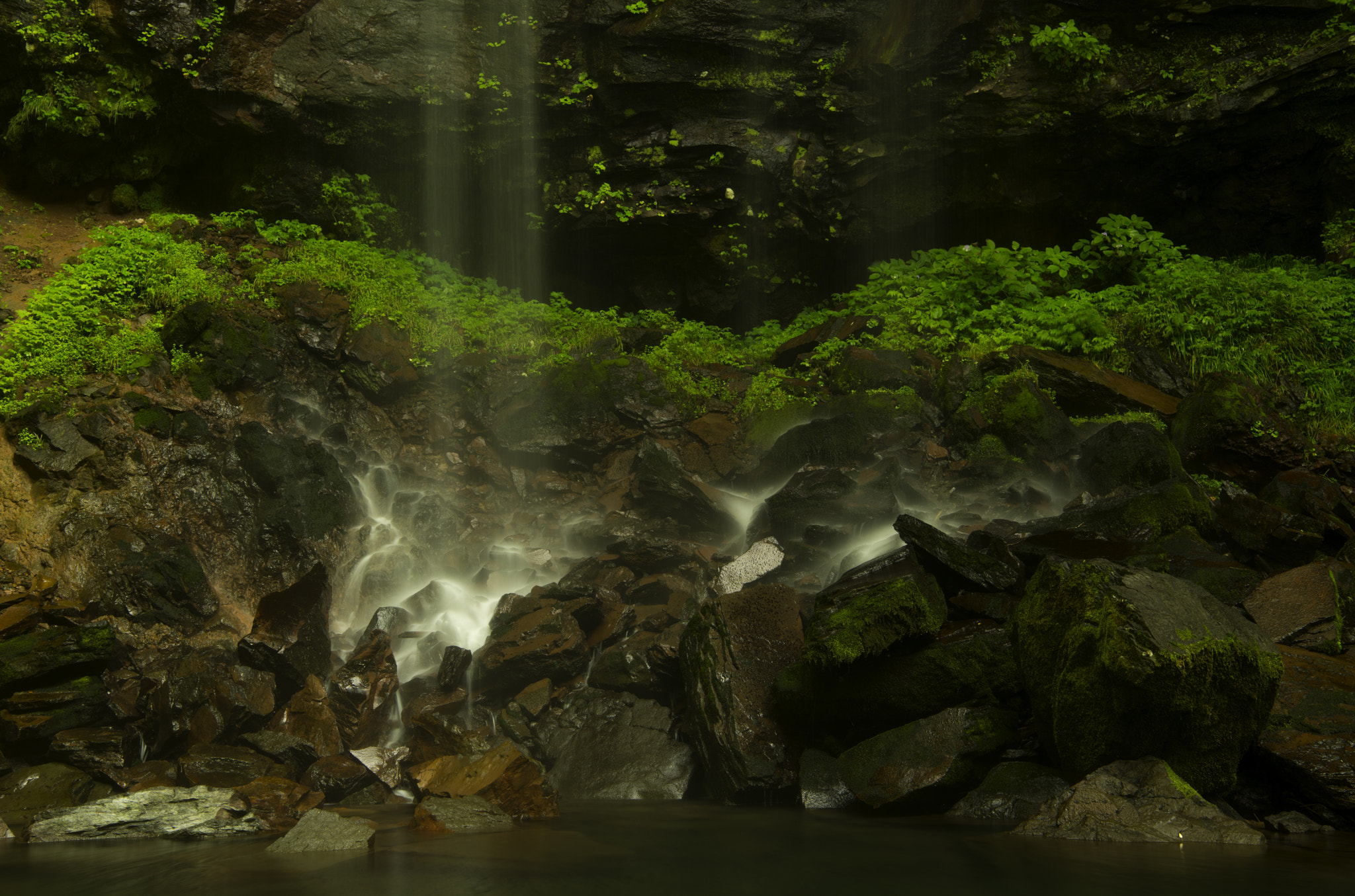 Nikon AF-S Nikkor 24-70mm F2.8E ED VR sample photo. Softy fall photography