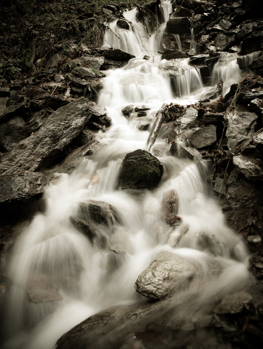 Sony Alpha DSLR-A700 sample photo. Relaxing time photography