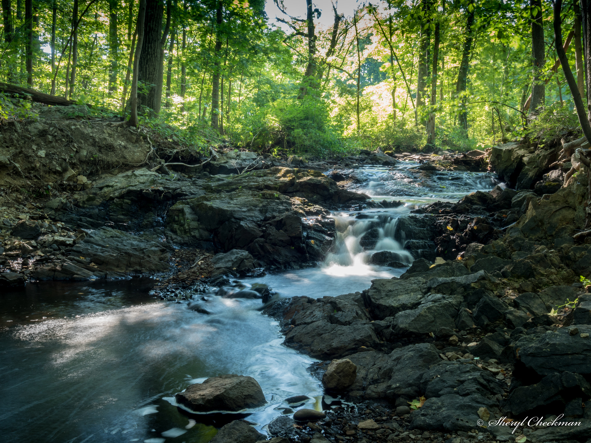 Olympus OM-D E-M5 II + OLYMPUS M.9-18mm F4.0-5.6 sample photo. Summer streaming photography