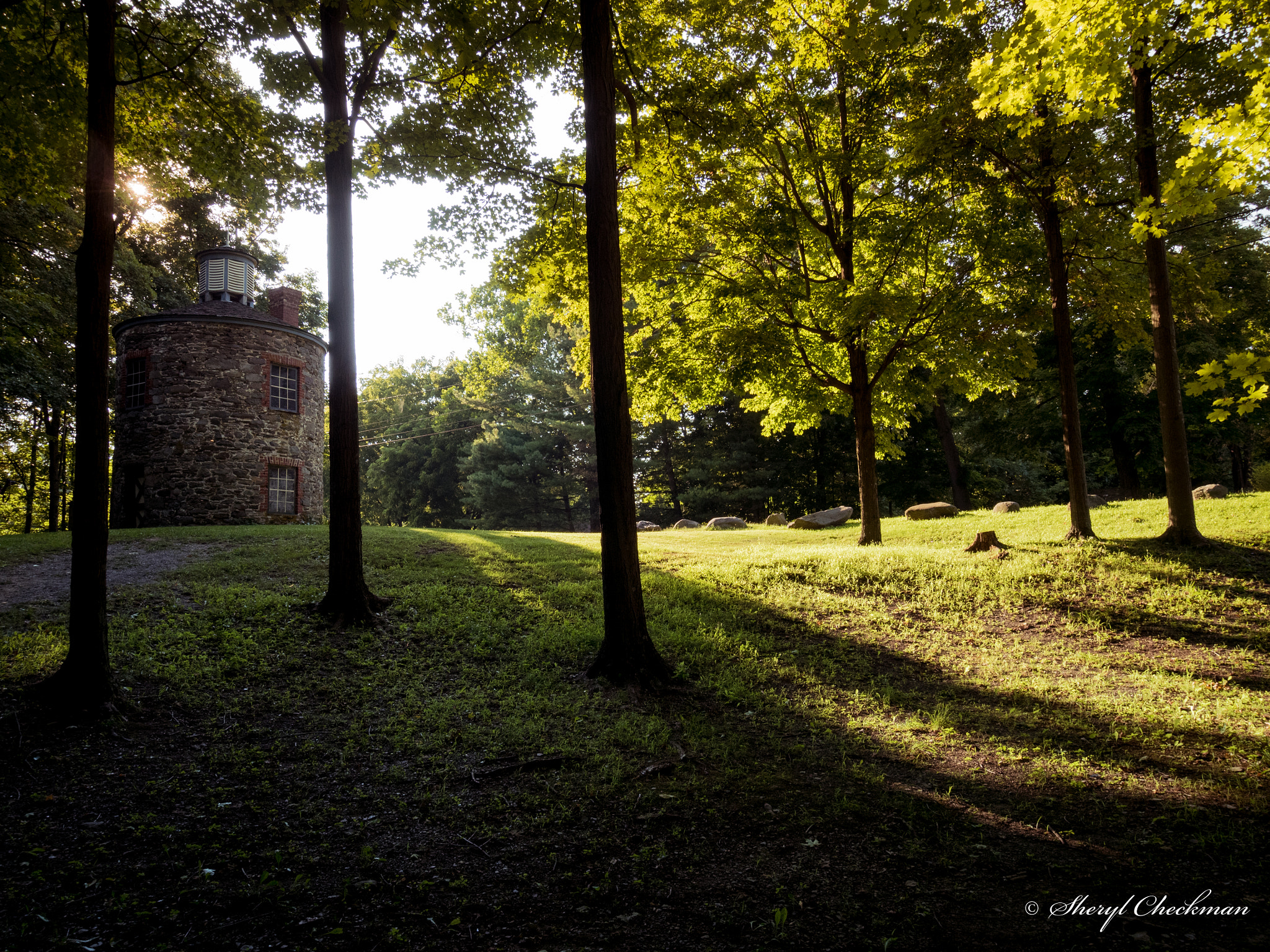 Olympus OM-D E-M5 II + OLYMPUS M.9-18mm F4.0-5.6 sample photo. Trees and gun mill photography