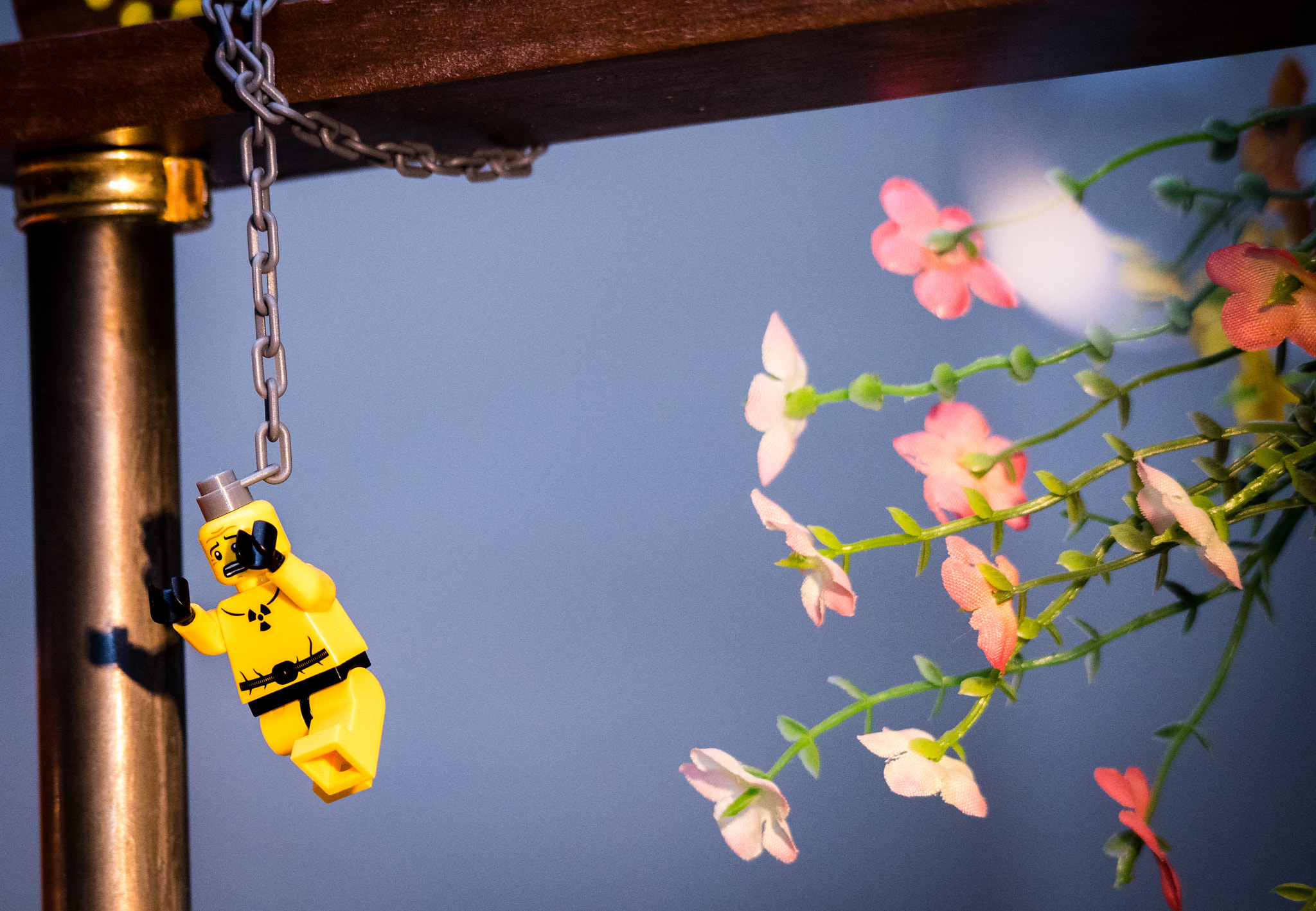 Panasonic Lumix G Vario 45-200mm F4-5.6 OIS sample photo. Scared of flowers photography