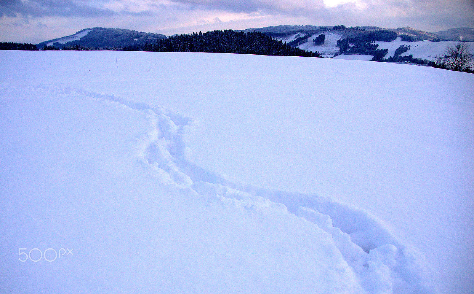 Pentax *ist DS sample photo. Once when winter was snowy photography