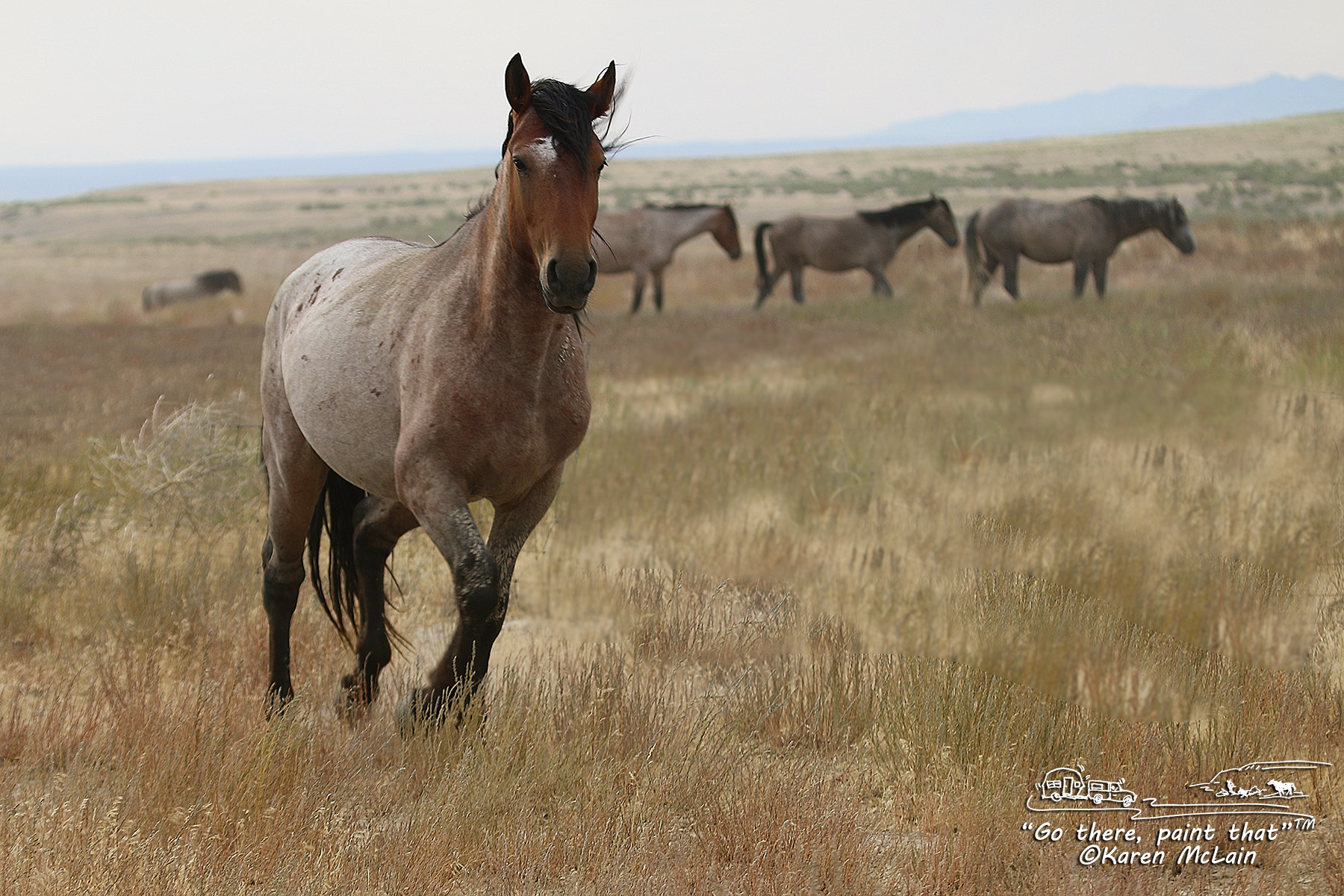 Canon EOS 70D + Canon EF 100-400mm F4.5-5.6L IS USM sample photo. Roan mare photography