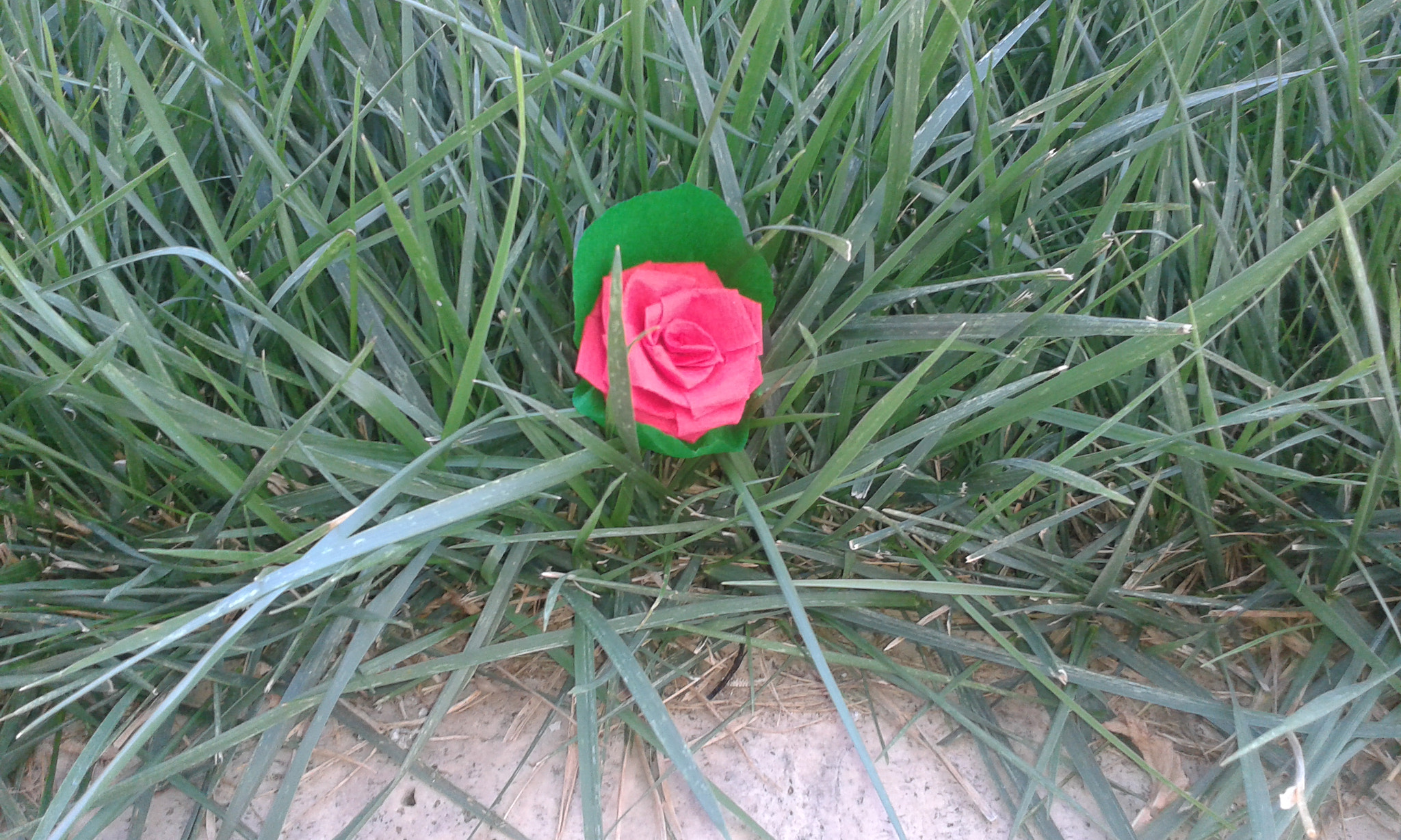 Samsung Galaxy Trend Plus sample photo. Bricolage photography